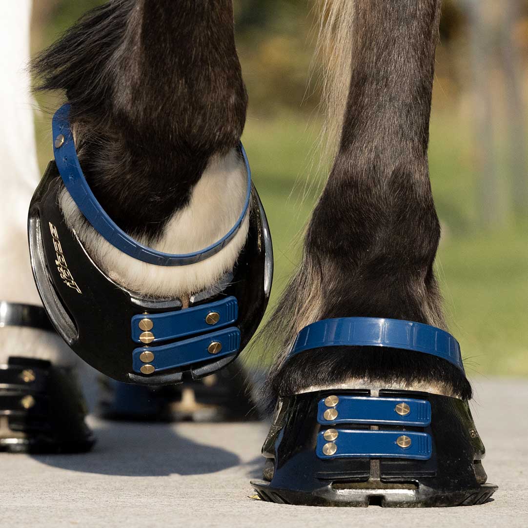 Scootboot Pastern Straps