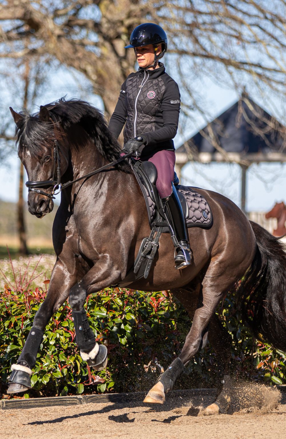 BARE Equestrian Horse Wear Carbon Tech Bell Boots