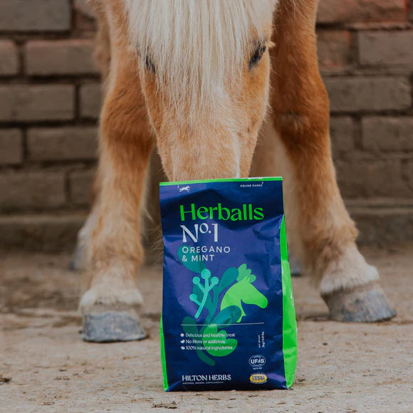 Hilton Herbs Herballs Treats