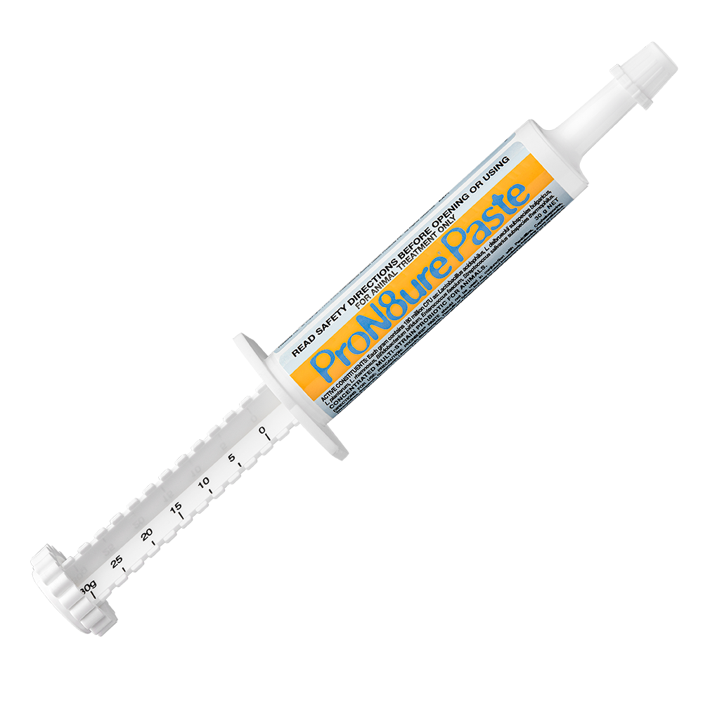 ProN8ure Probiotic Paste 30g syringe