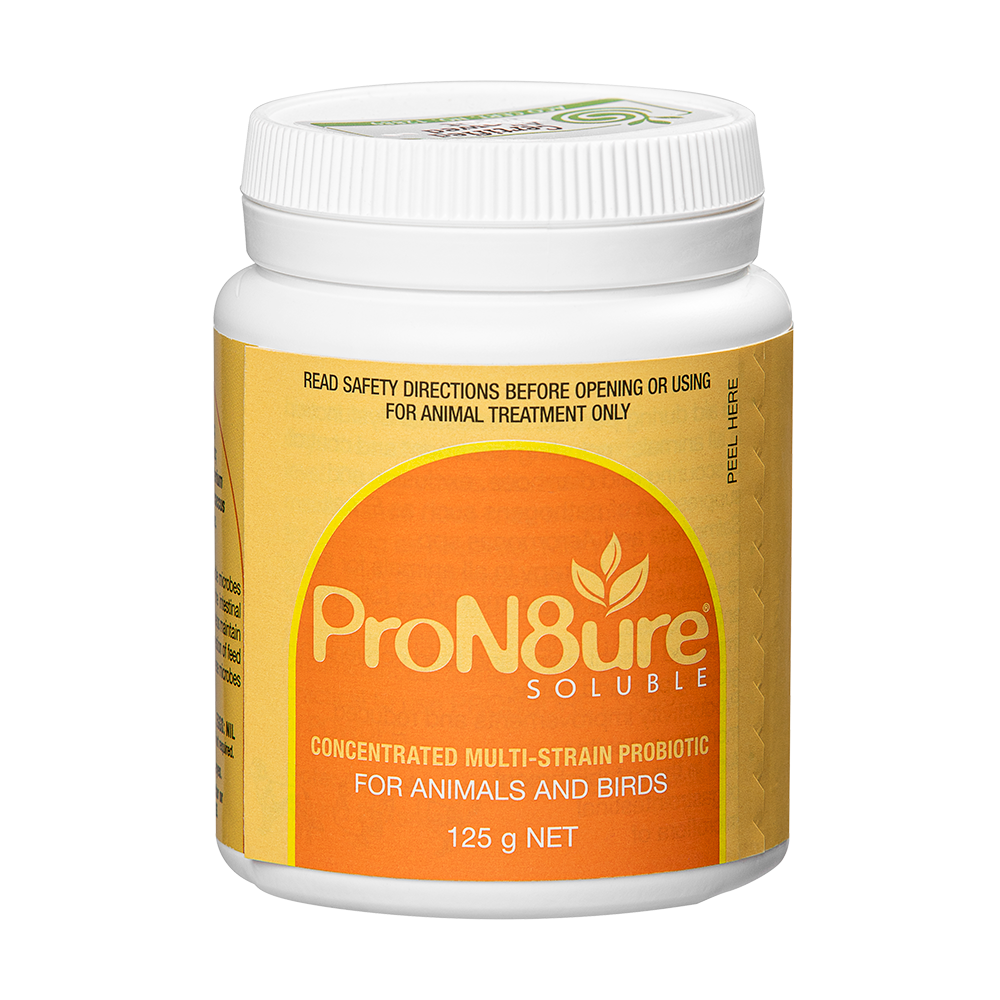 ProN8ure Probiotic Soluble