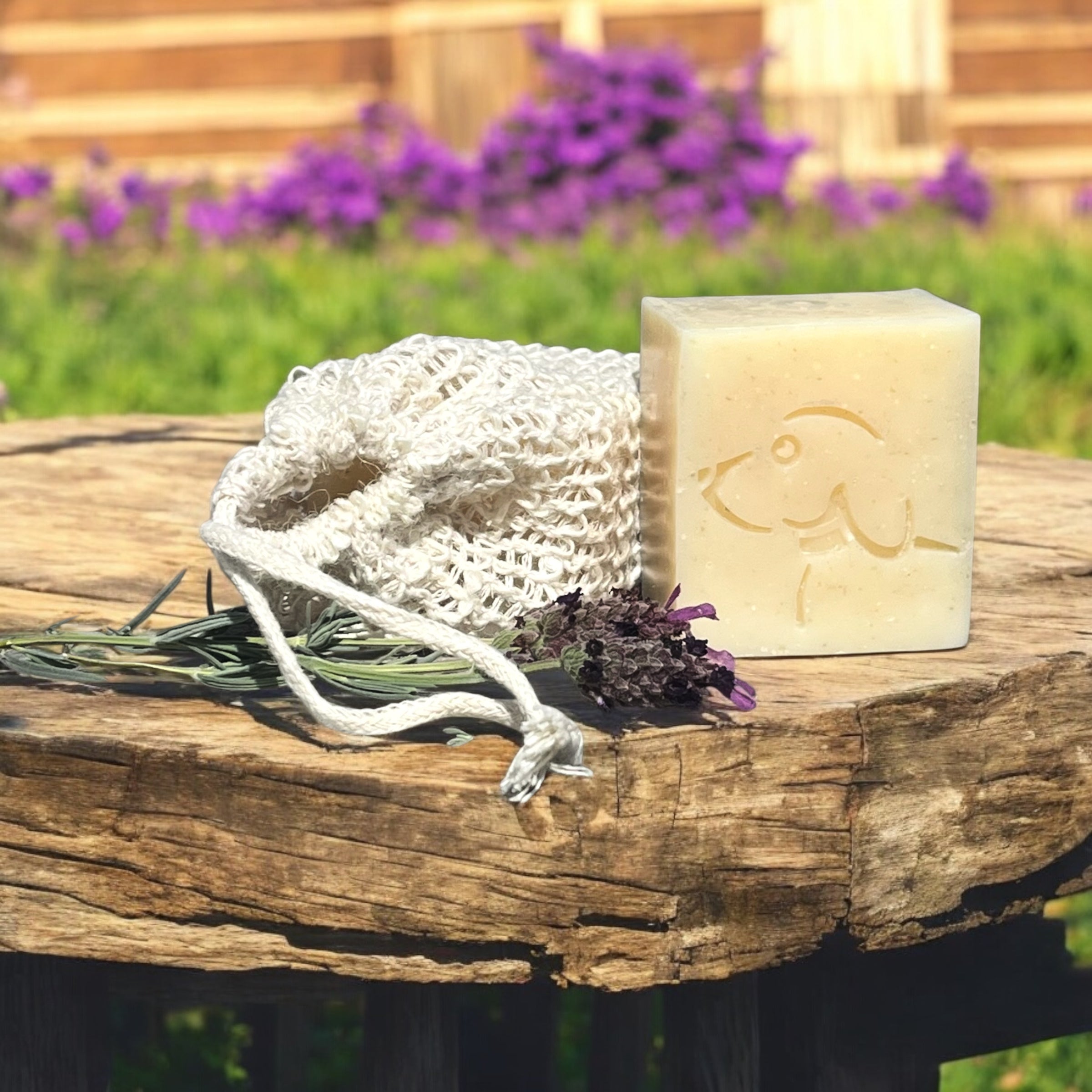 Eco Dog Pure Paws Soap Block