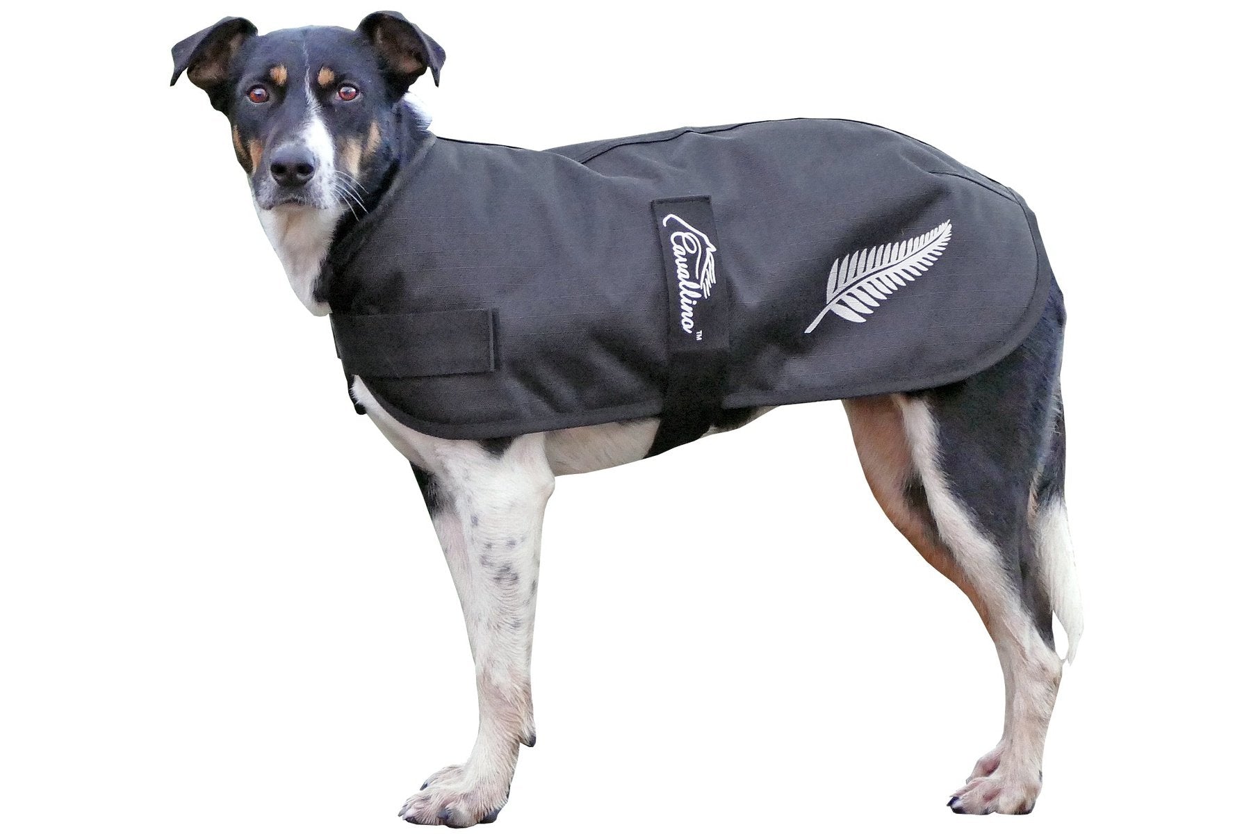 Cavallino Silver Fern Dog Coat