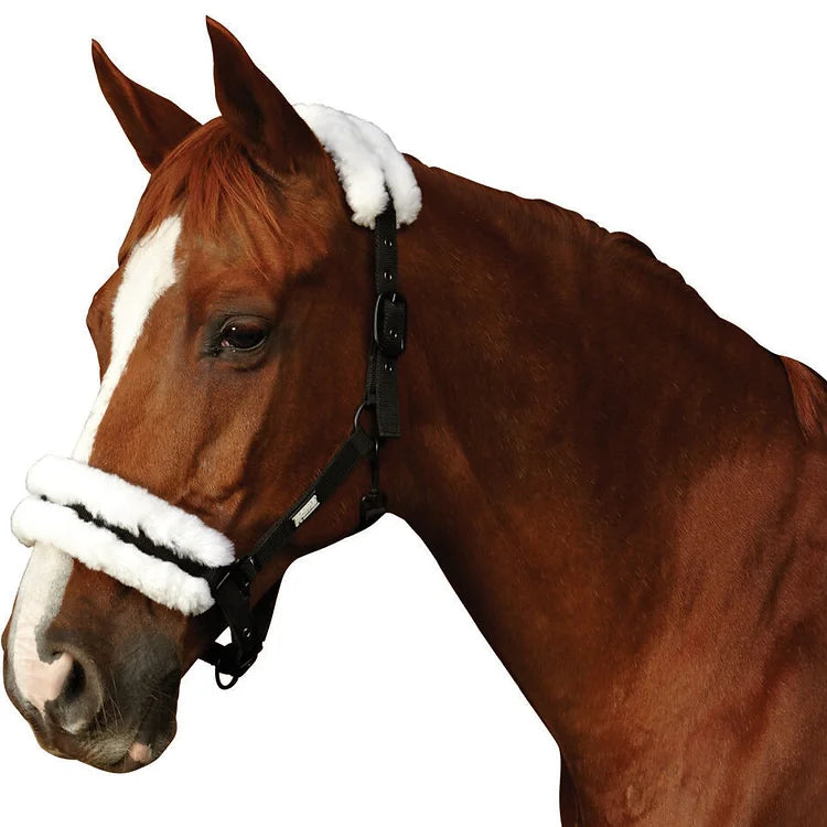 Roma Merino Sheepskin Headcollar Halter