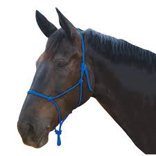 Roma Nylon Rope Headcollar Halter