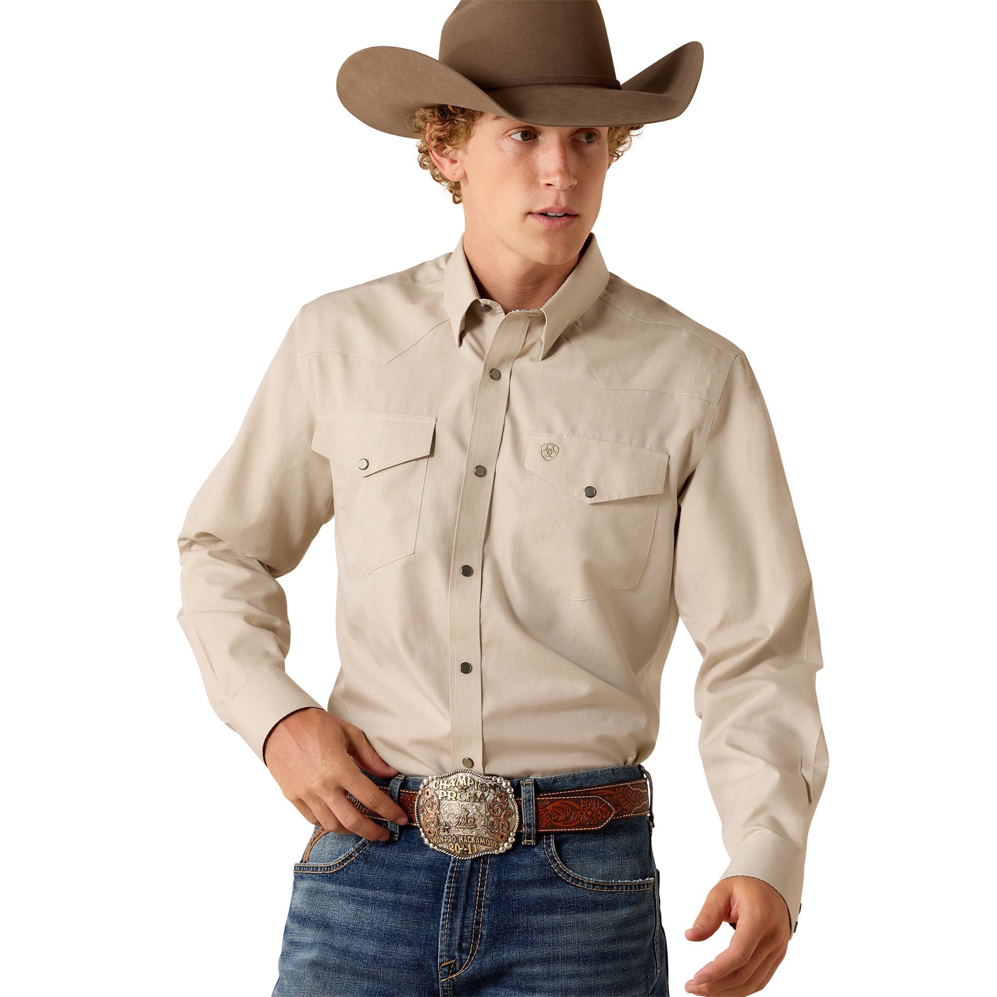 Wrinkle Free Pinpoint Oxford Fitted Snap Shirt - Brindle