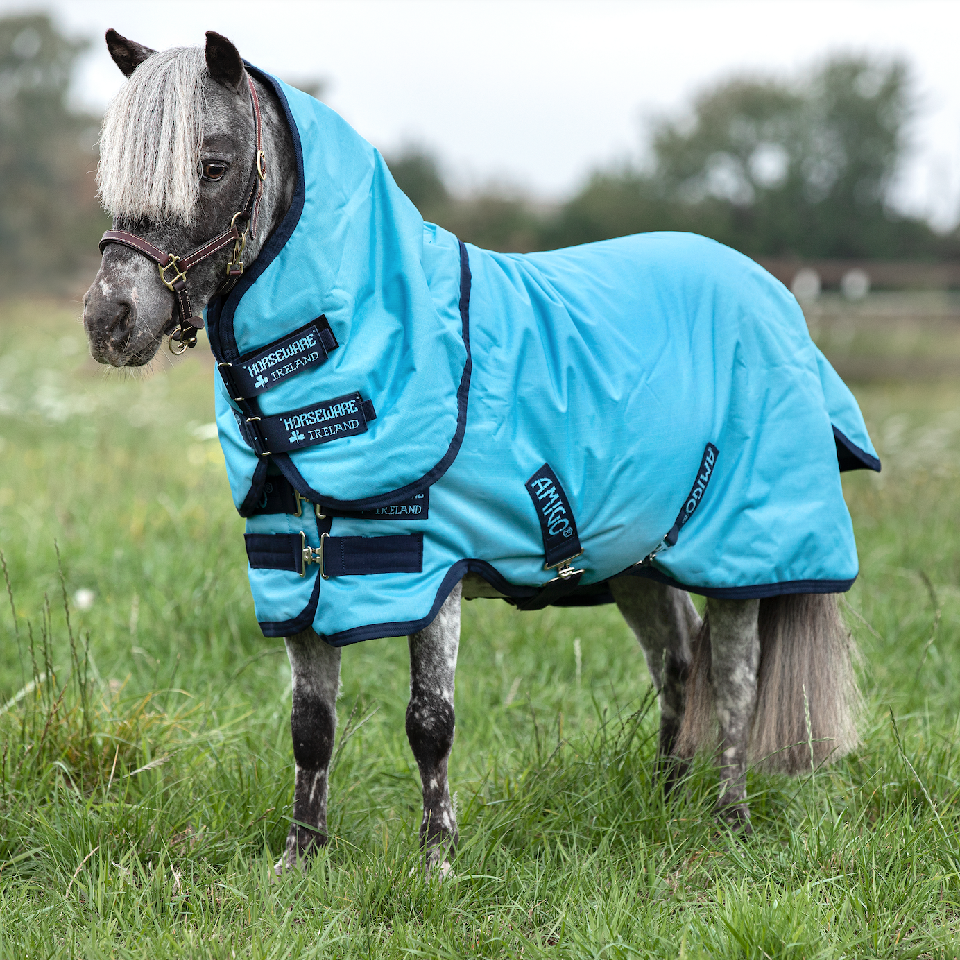 Amigo Hero 6 Petite Plus Turnout Lite Detach-A-Neck