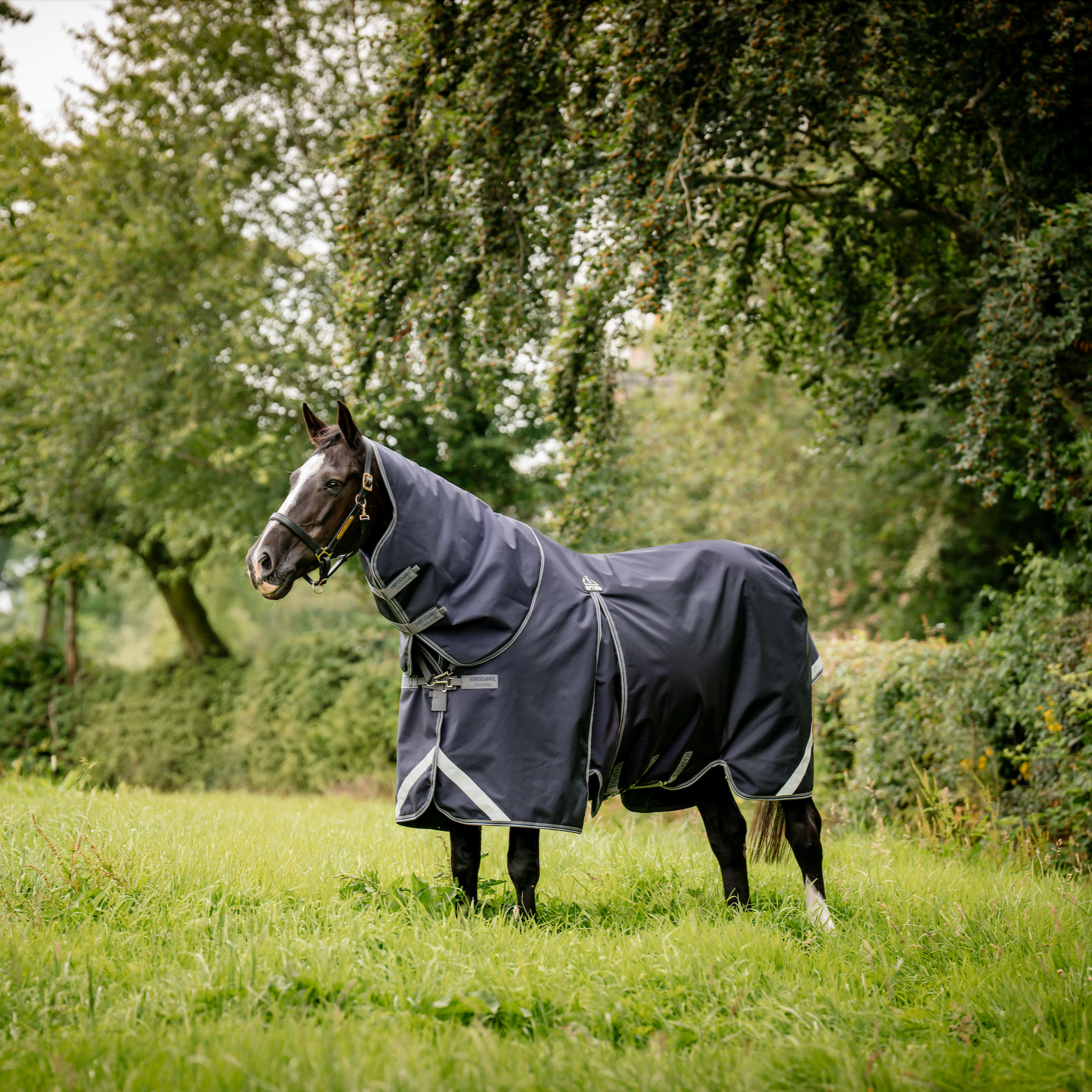 Rambo Optimo Plus Turnout Bundle