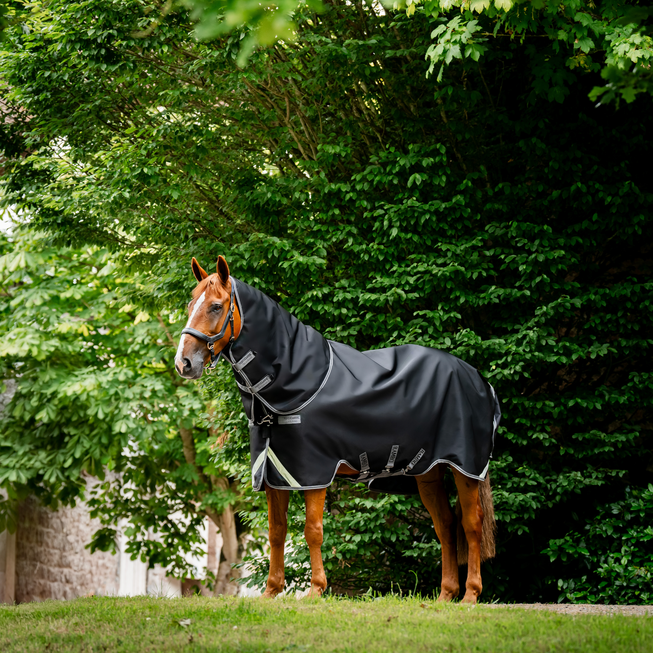 Rambo 1680D Plus Turnout Detach-A-Neck