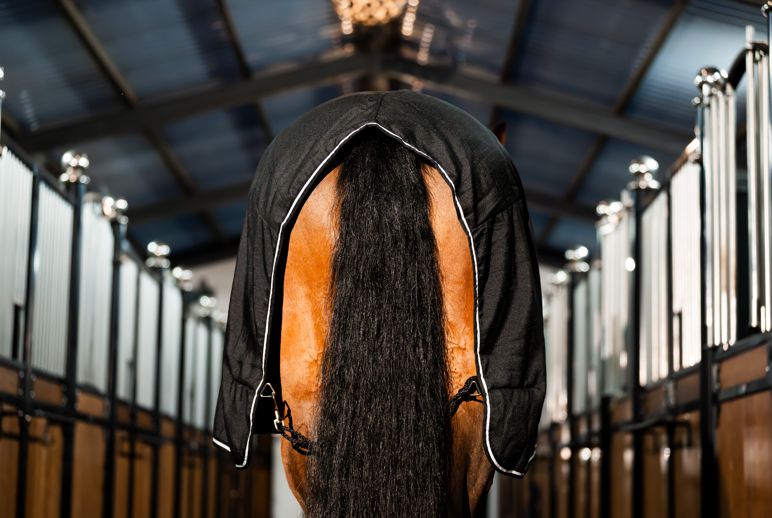 Rambo Stable Sheet
