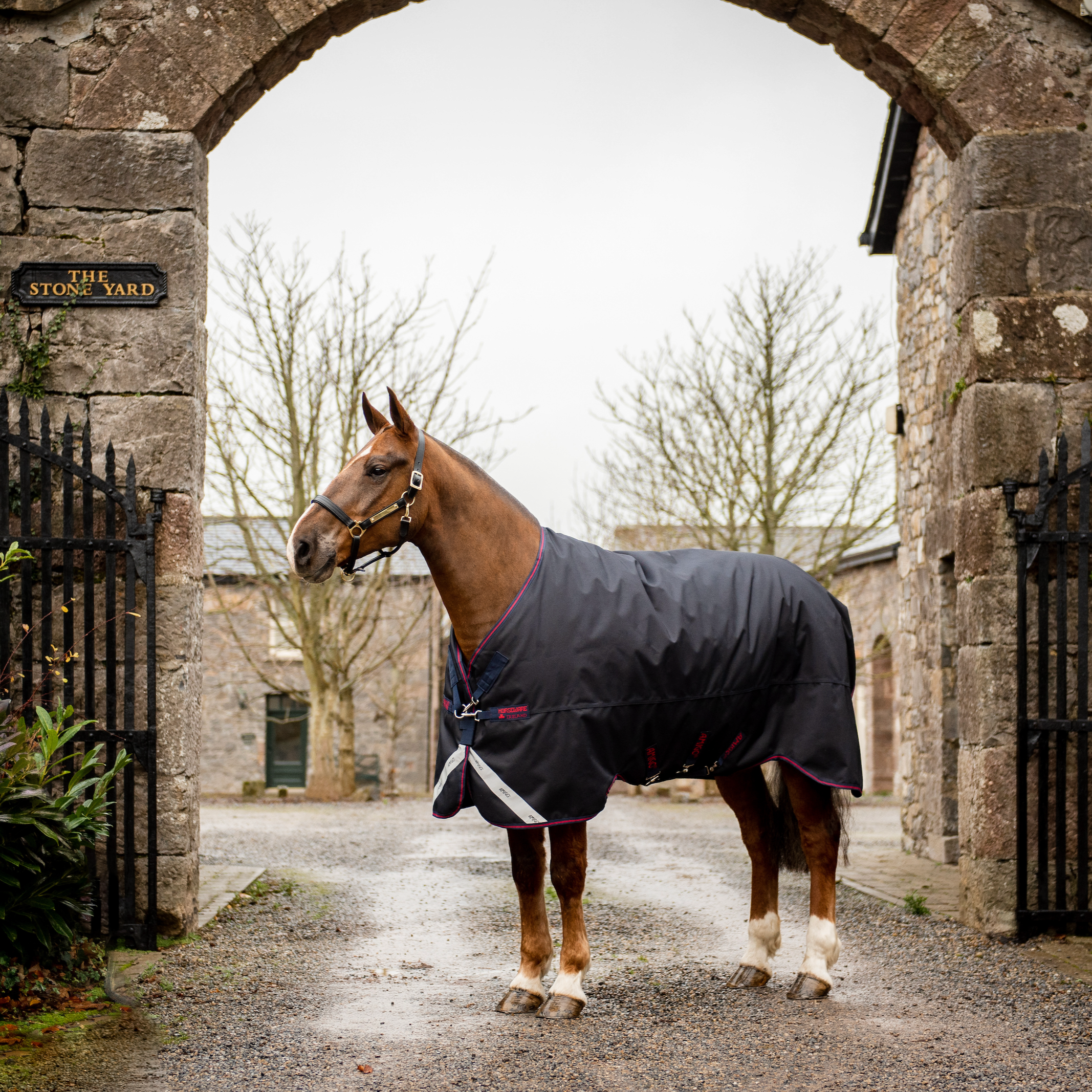 Amigo 1200D XL Turnout Standard Neck