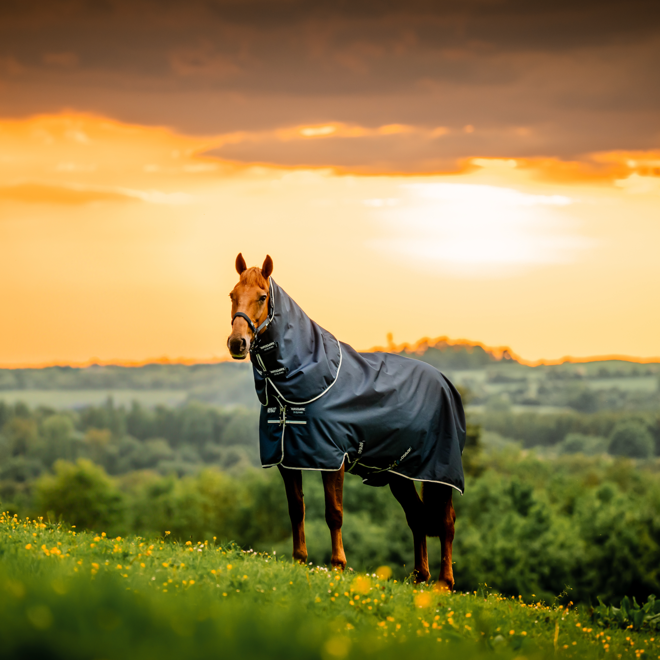 Amigo Ripstop 900D Plus Turnout Detach-A-Neck