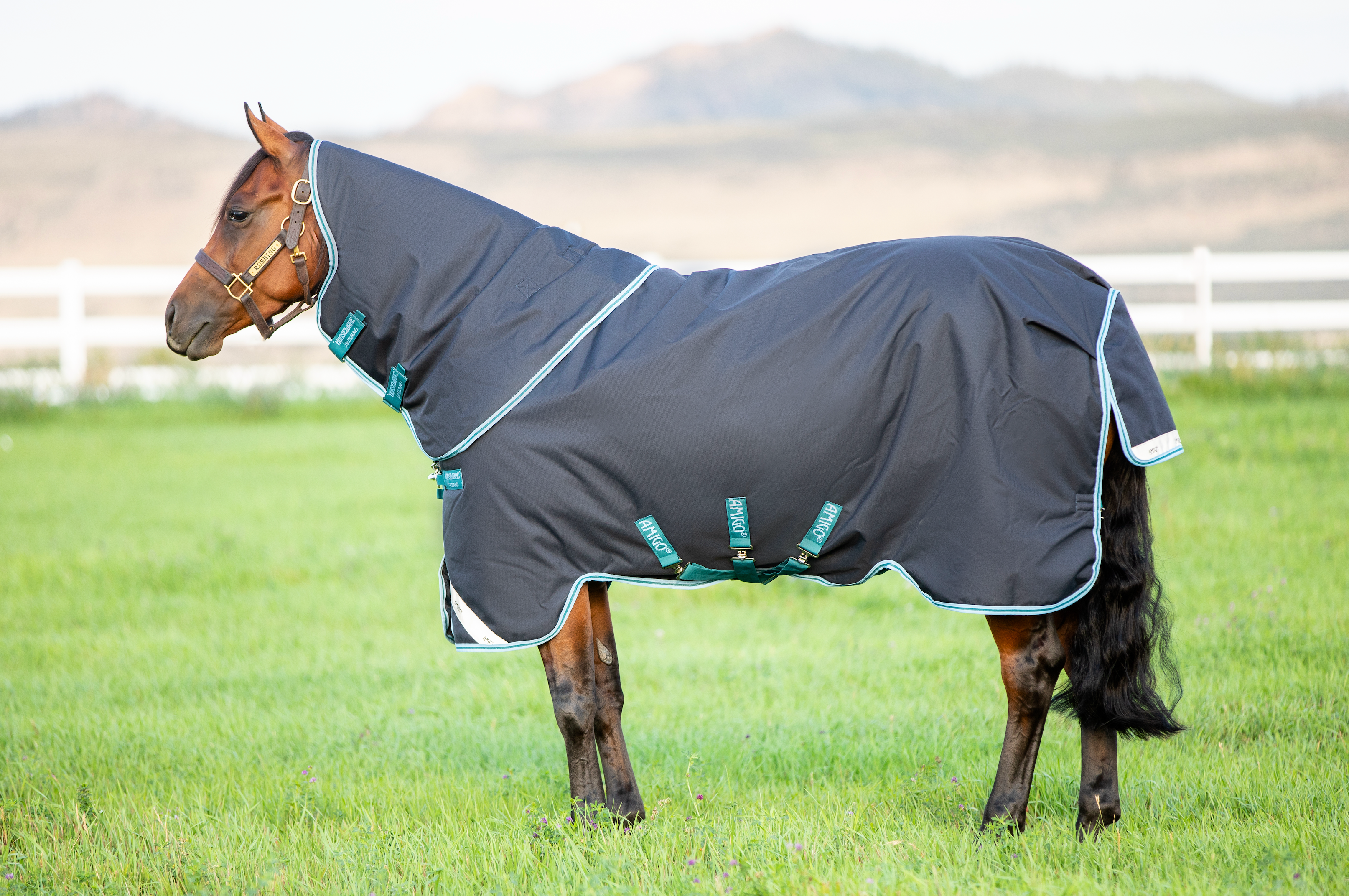 Amigo 1200D Plus Turnout Detach-A-Neck