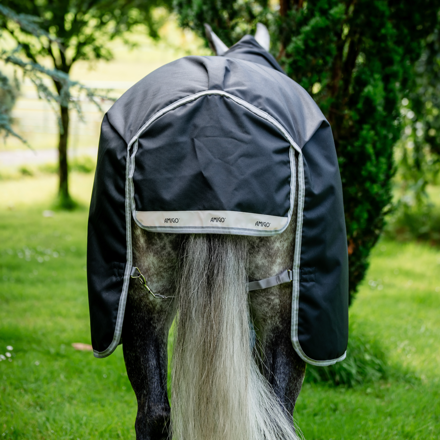 Amigo 1200D Plus Turnout Detach-A-Neck
