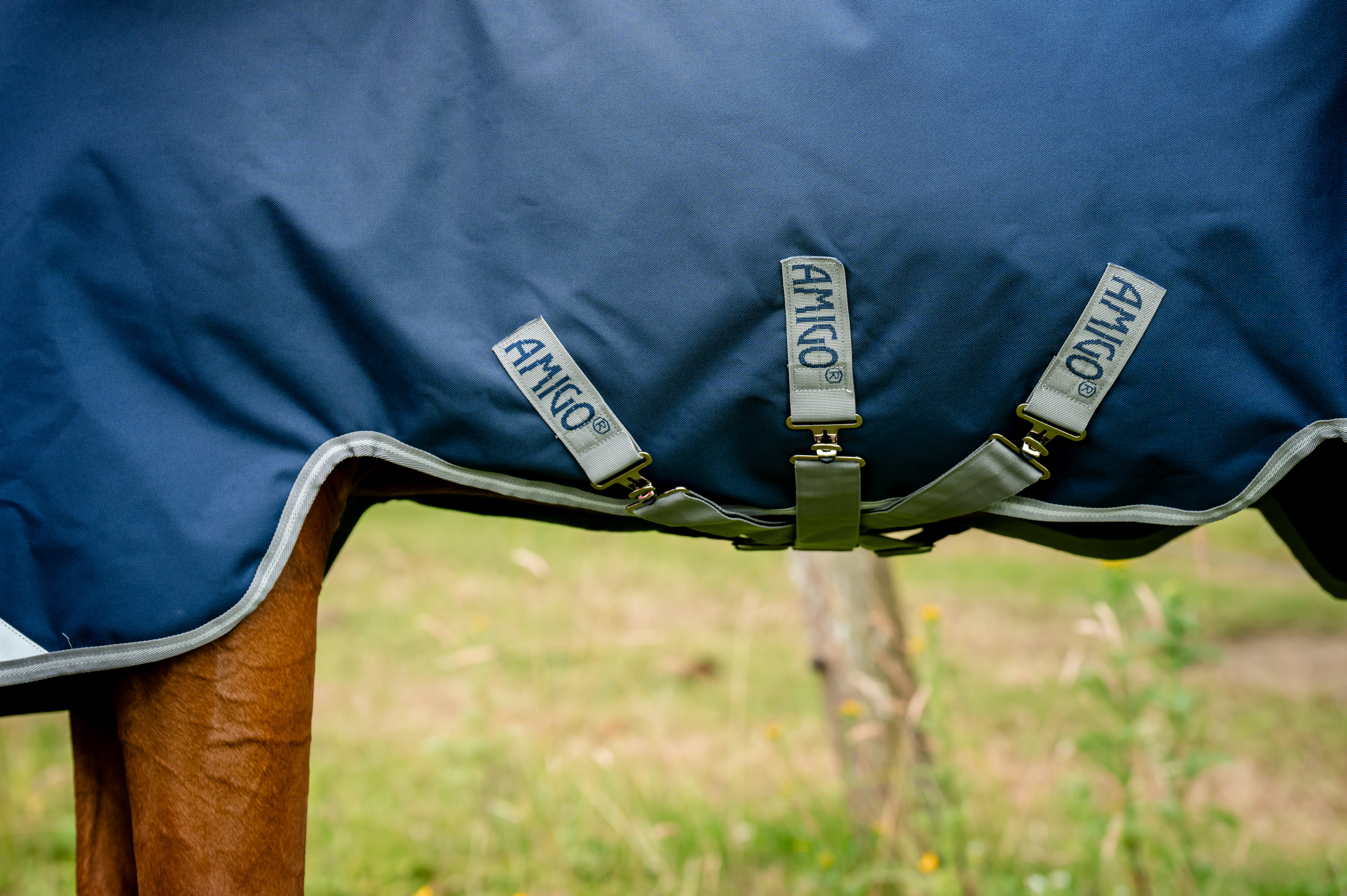Amigo 1200D Plus Turnout Detach-A-Neck