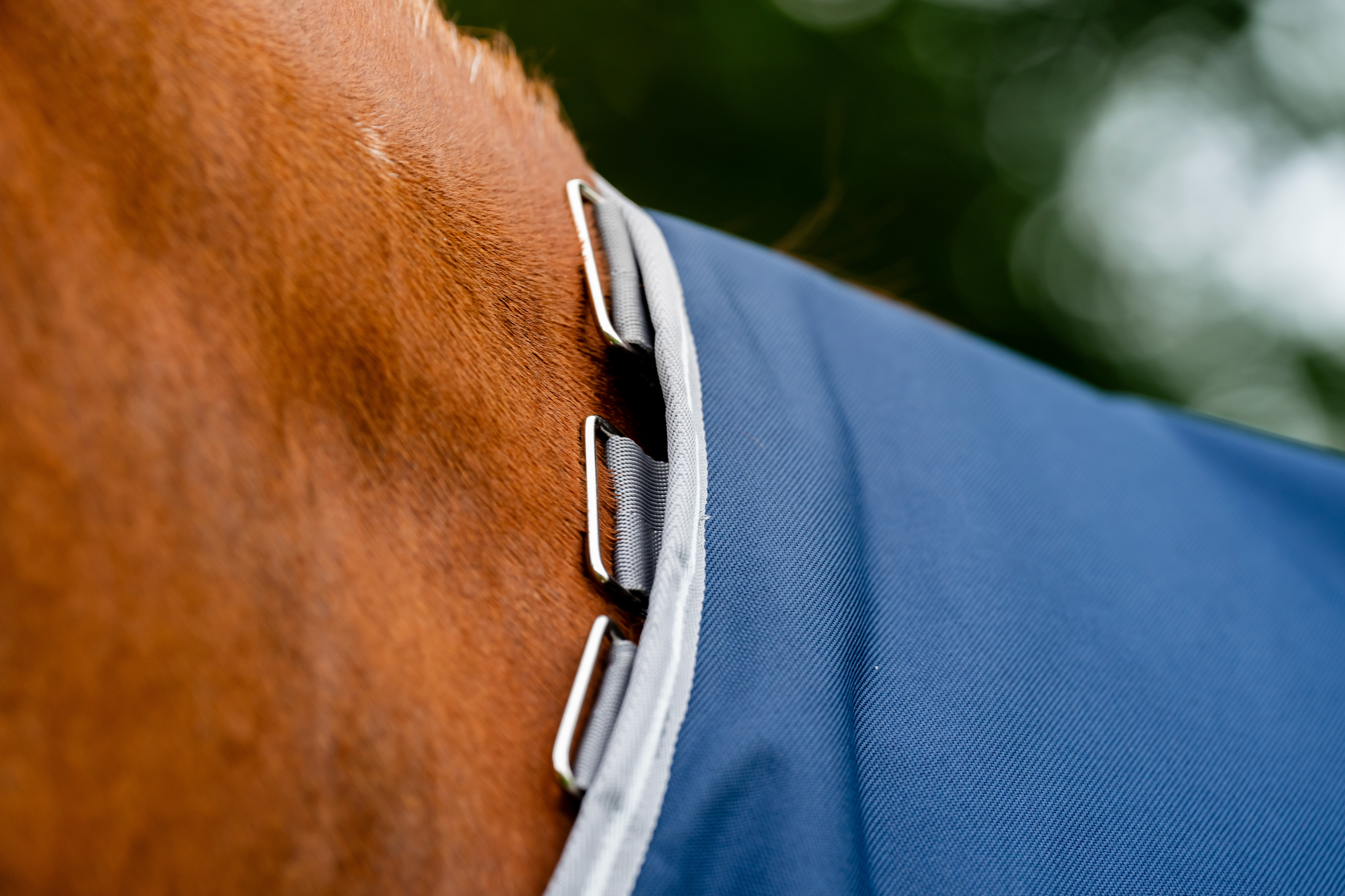 Amigo 1200D Plus Turnout Detach-A-Neck