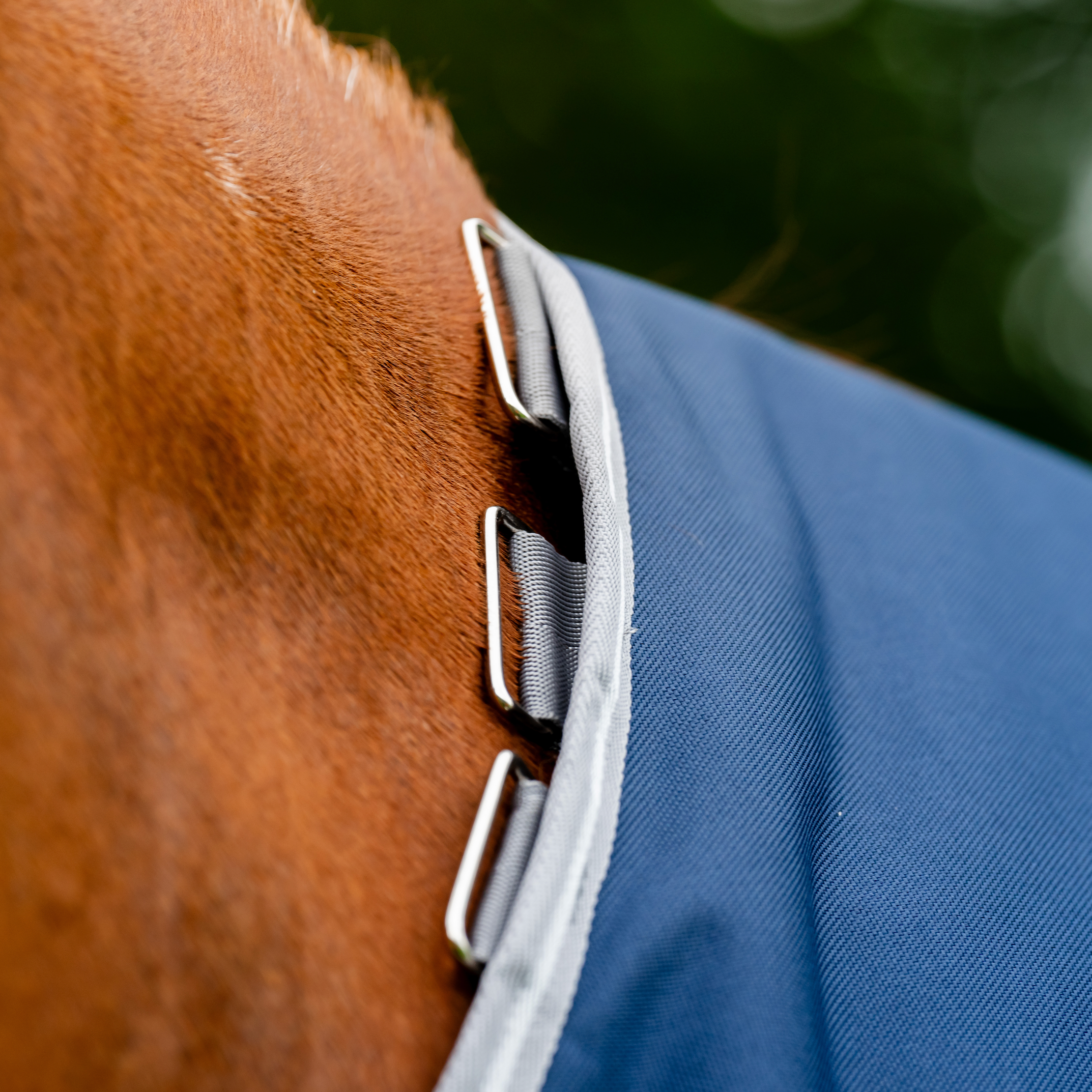 Amigo 1200D Plus Turnout Detach-A-Neck