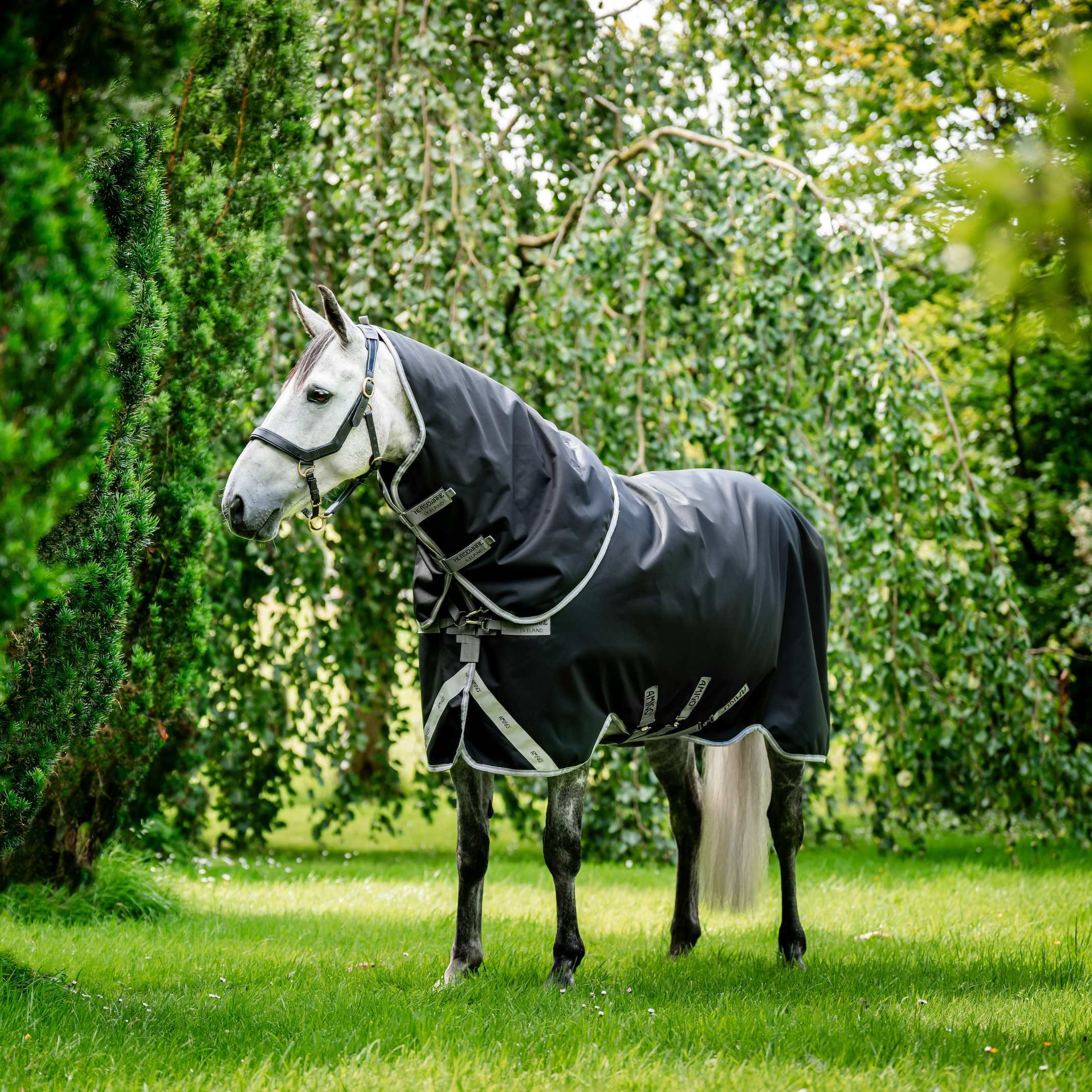 Amigo 1200D Plus Turnout Detach-A-Neck