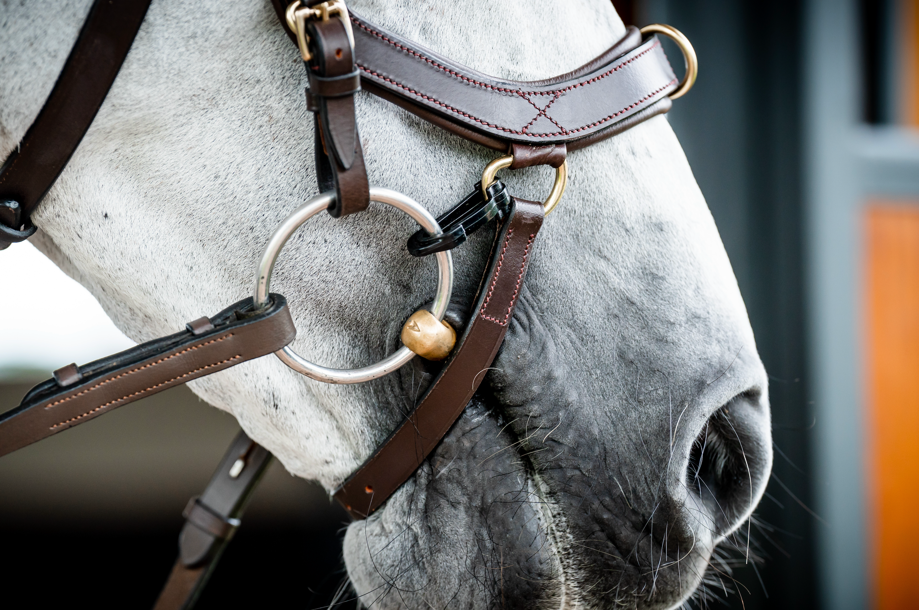 Horseware Ireland Micklem 2 Multi-Bridle