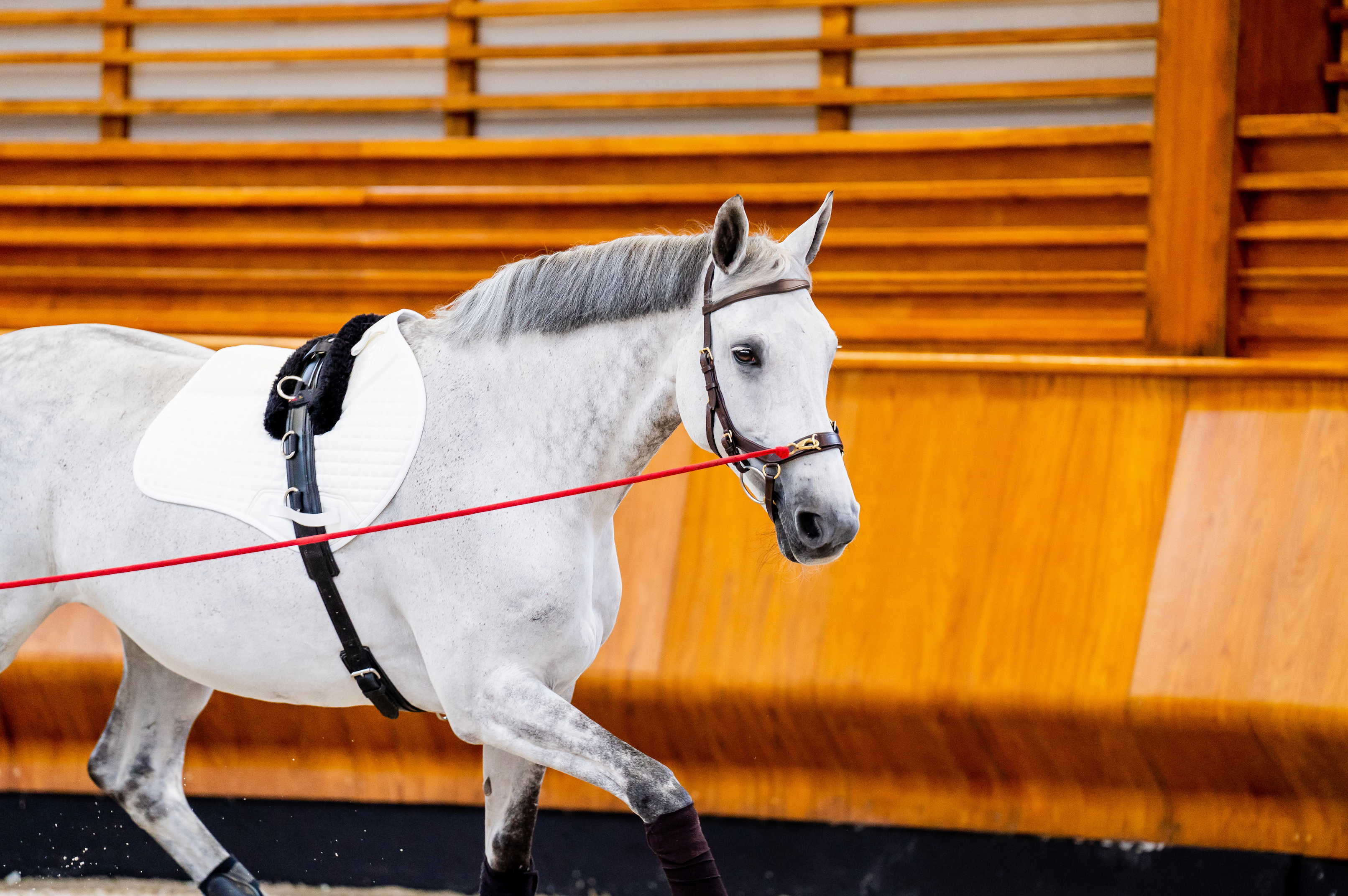 Horseware Ireland Micklem 2 Multi-Bridle