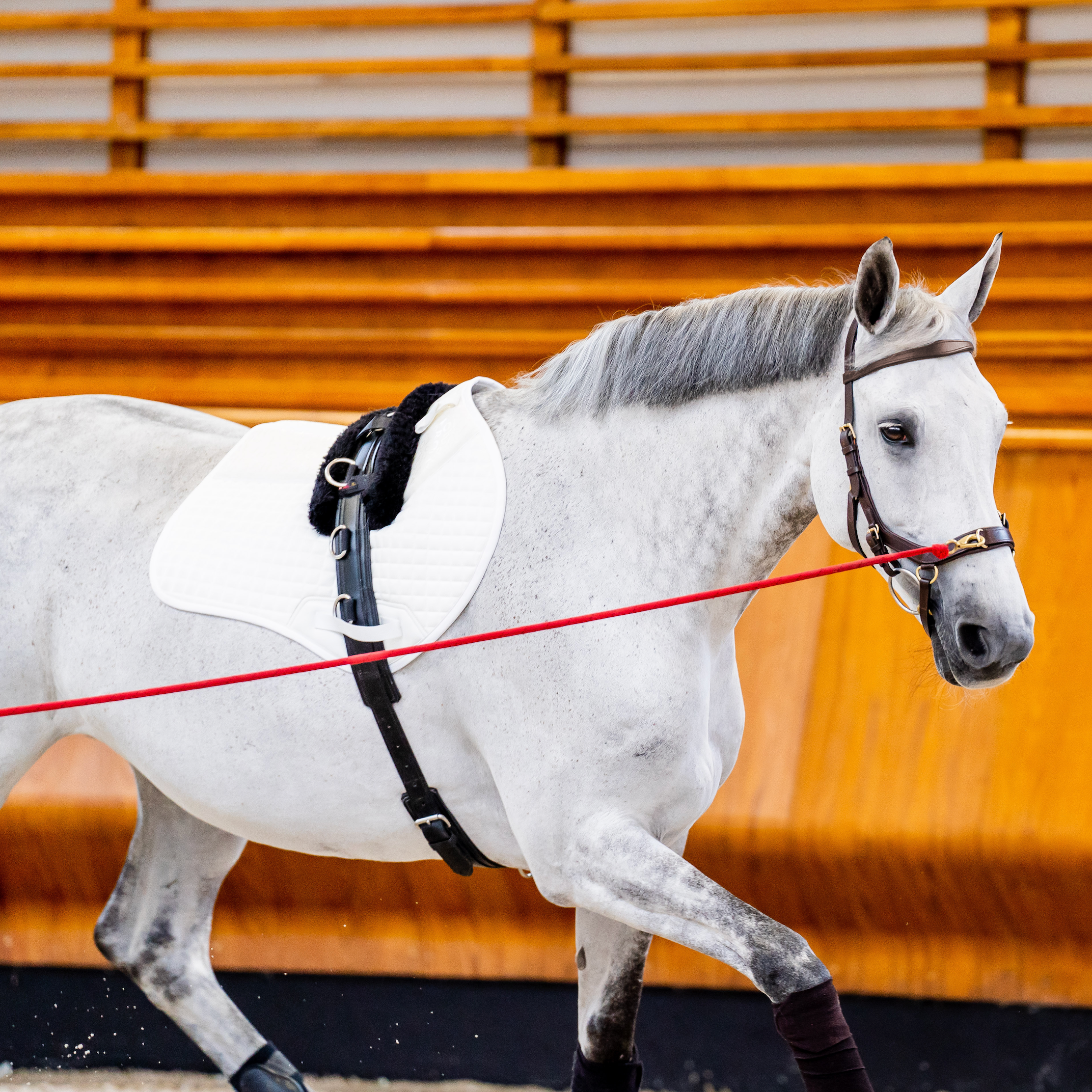 Horseware Ireland Micklem 2 Multi-Bridle