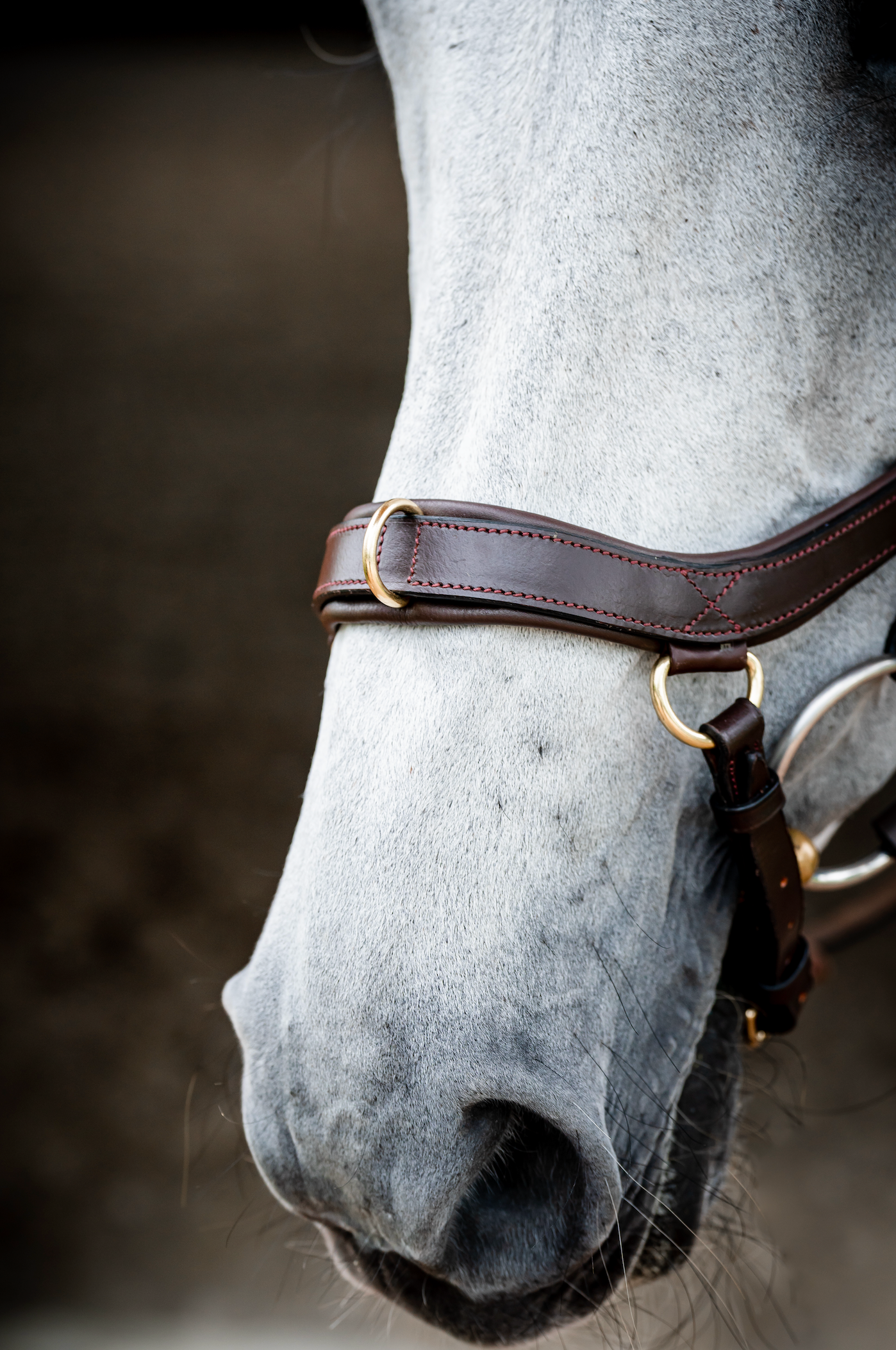 Horseware Ireland Micklem 2 Multi-Bridle