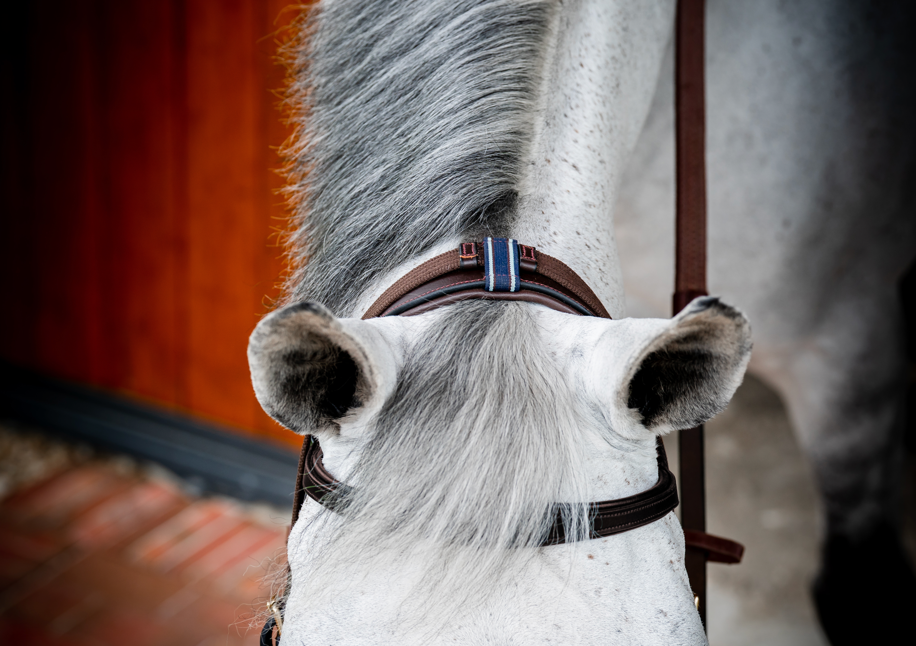 Horseware Ireland Micklem 2 Multi-Bridle