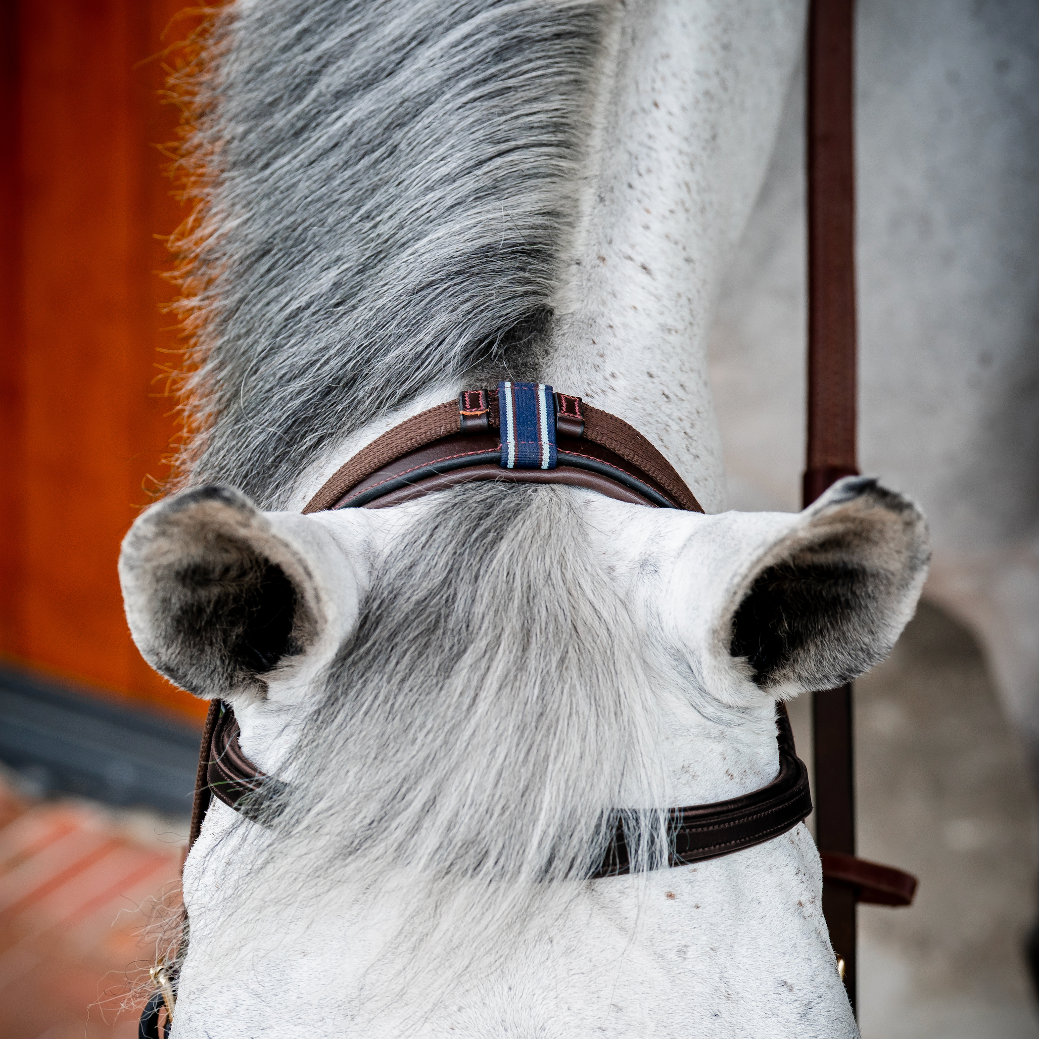 Horseware Ireland Micklem 2 Multi-Bridle