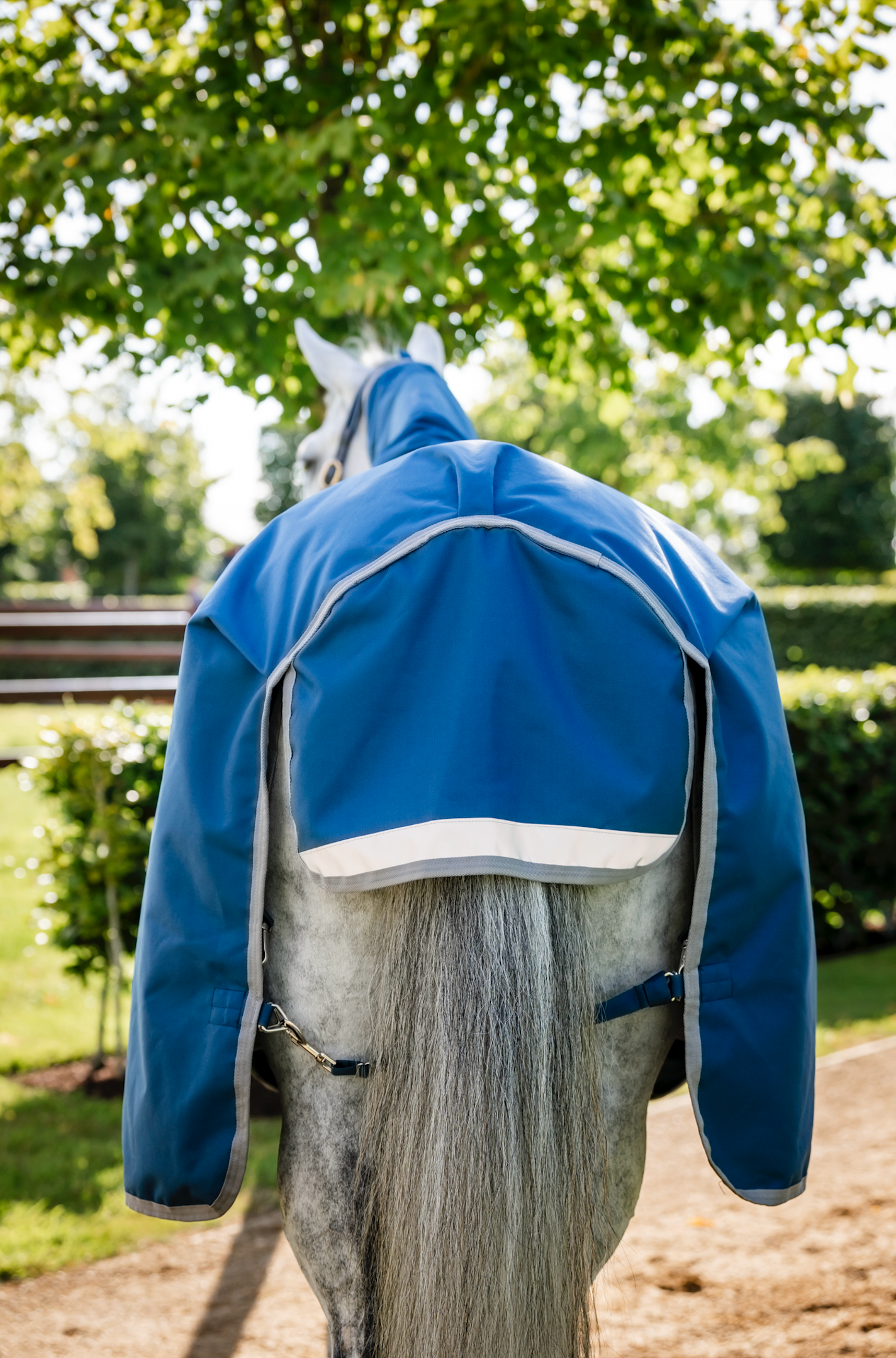 Horseware Ionic Therapy Turnout