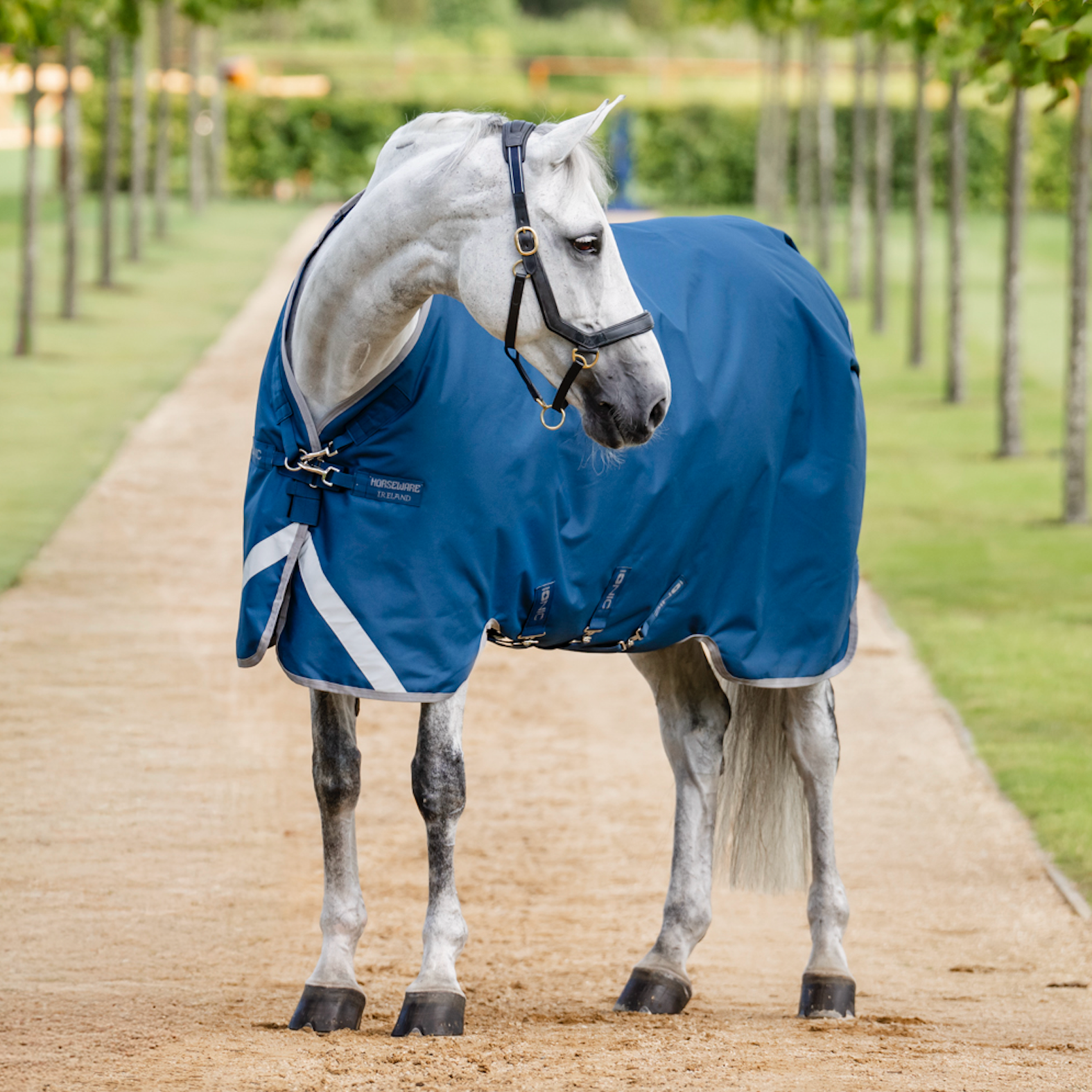 Horseware Ionic Therapy Turnout
