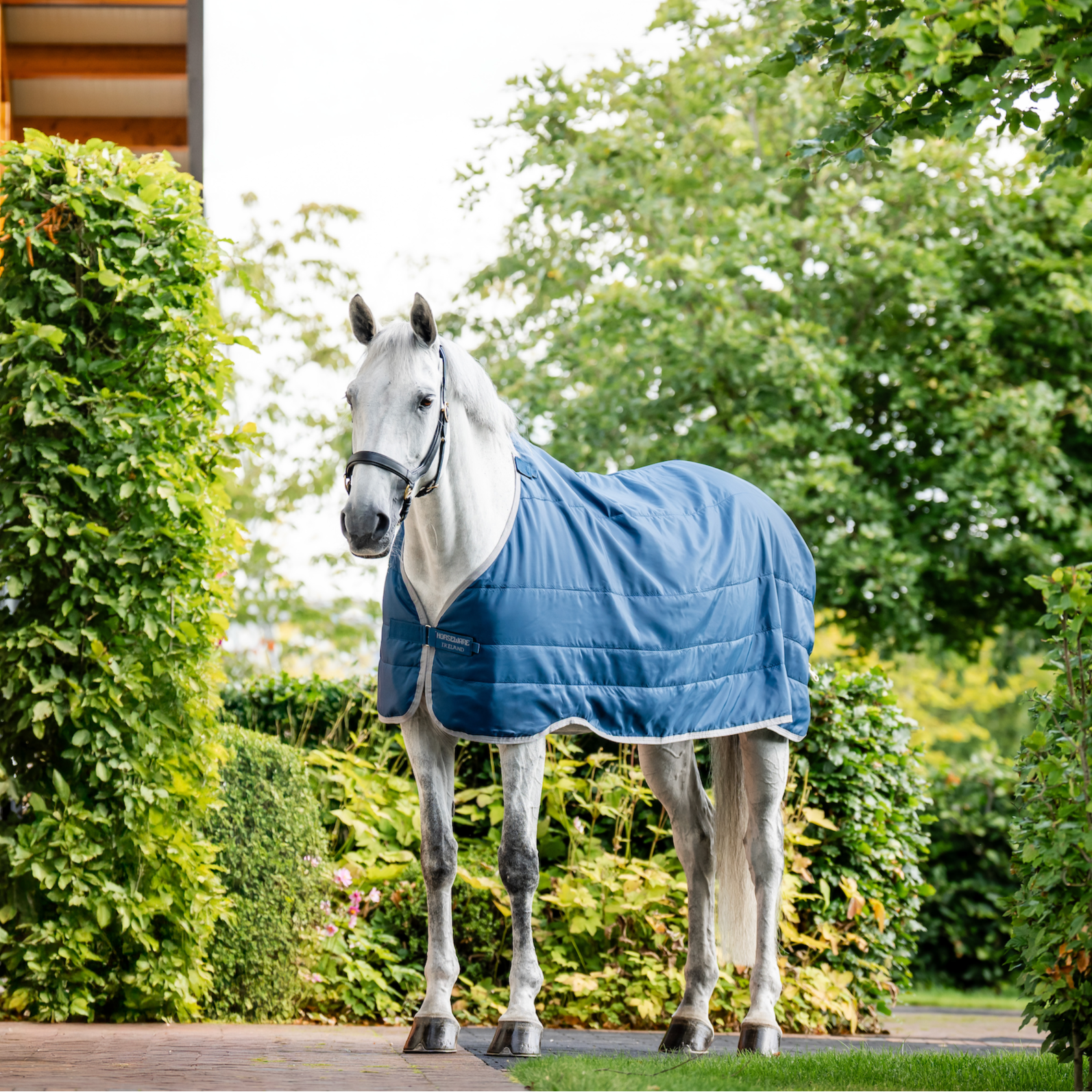 Horseware Ionic Therapy Liner