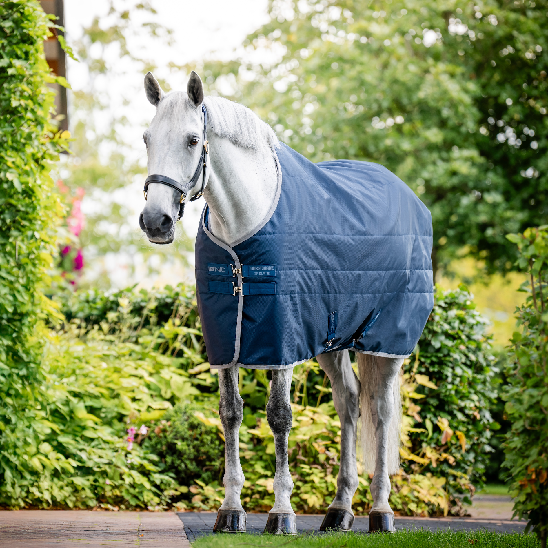 Horseware Ionic Therapy Stable Rug
