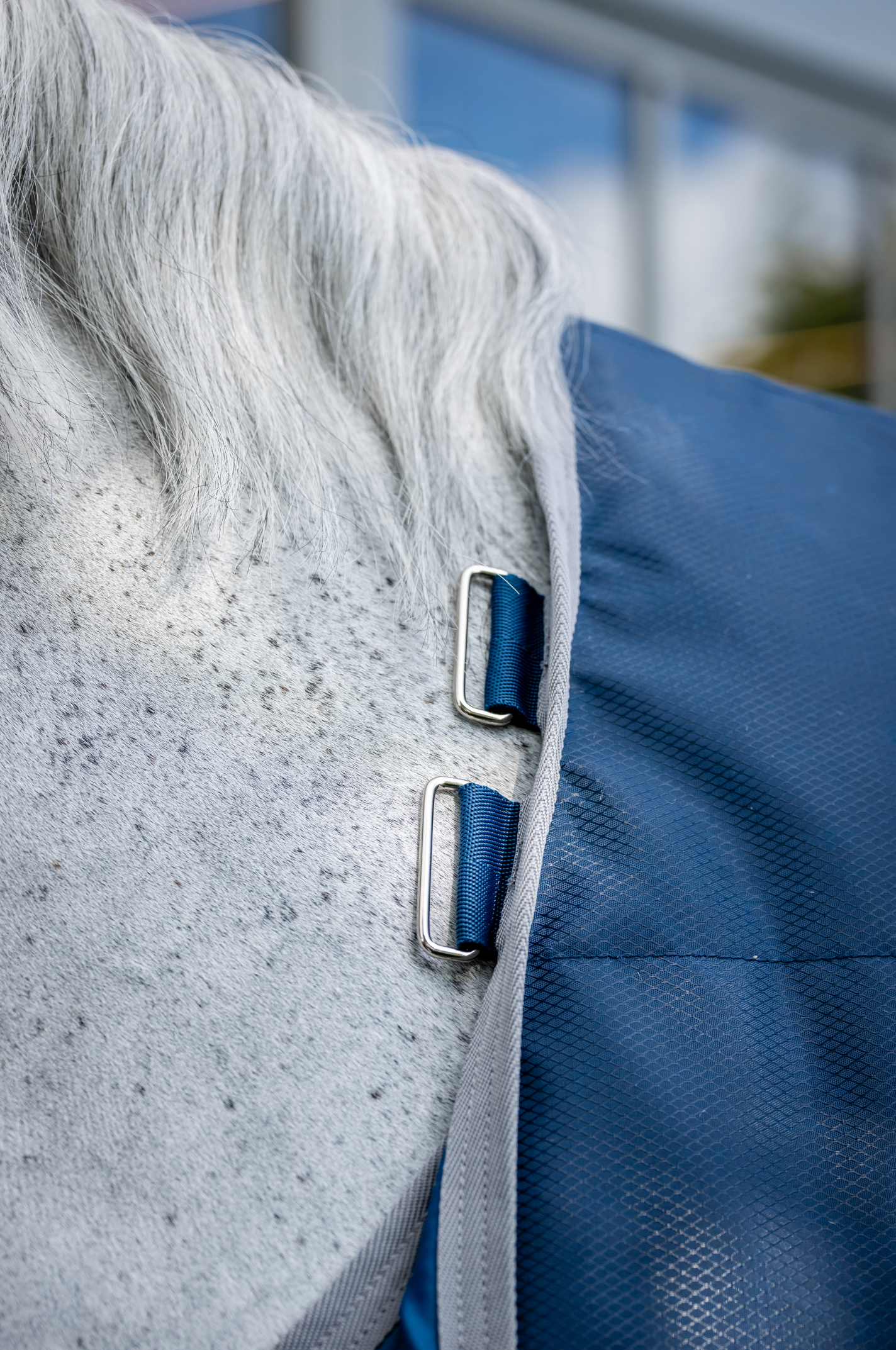 Horseware Ionic Therapy Stable Rug