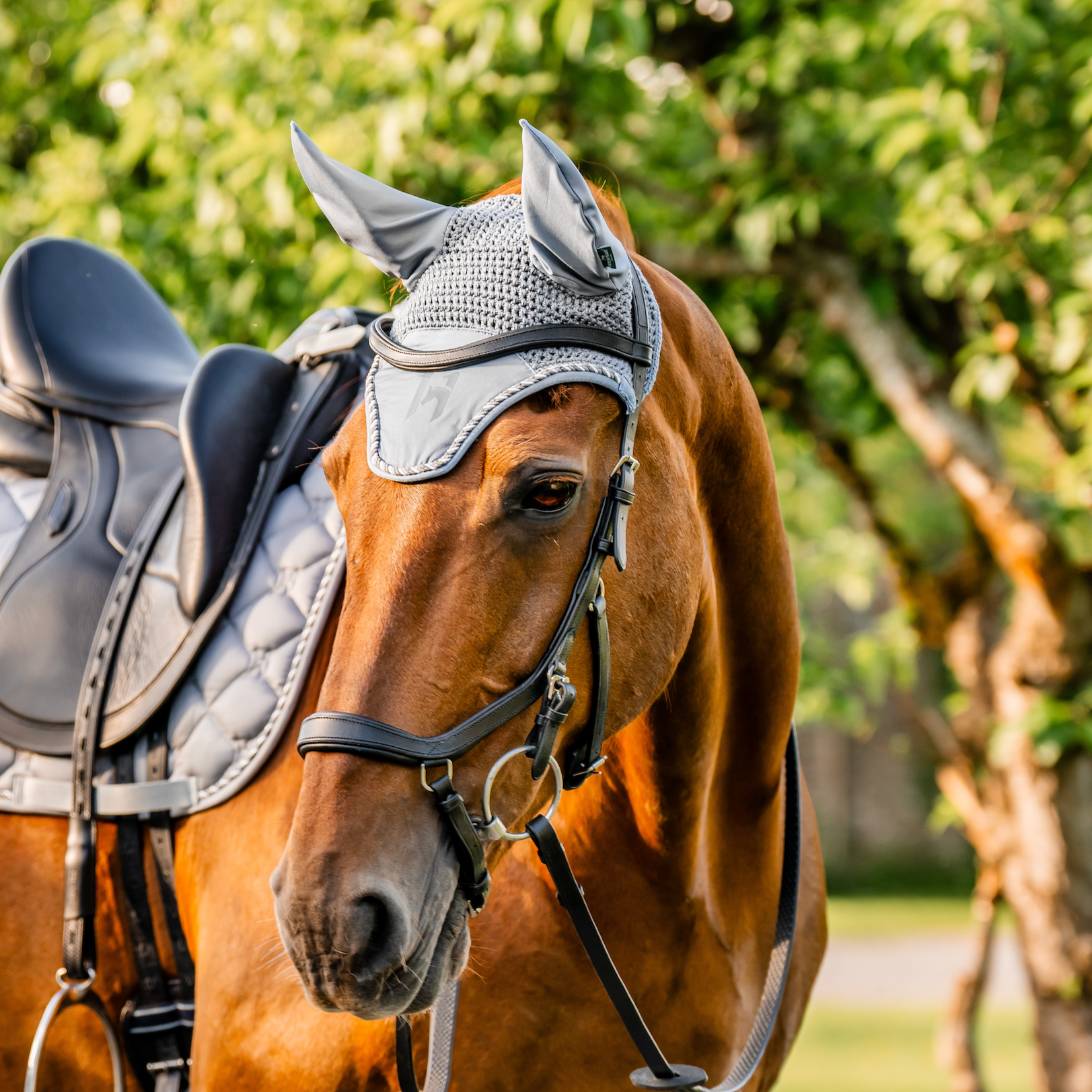Horseware Newmarket Ear Net Bonnet