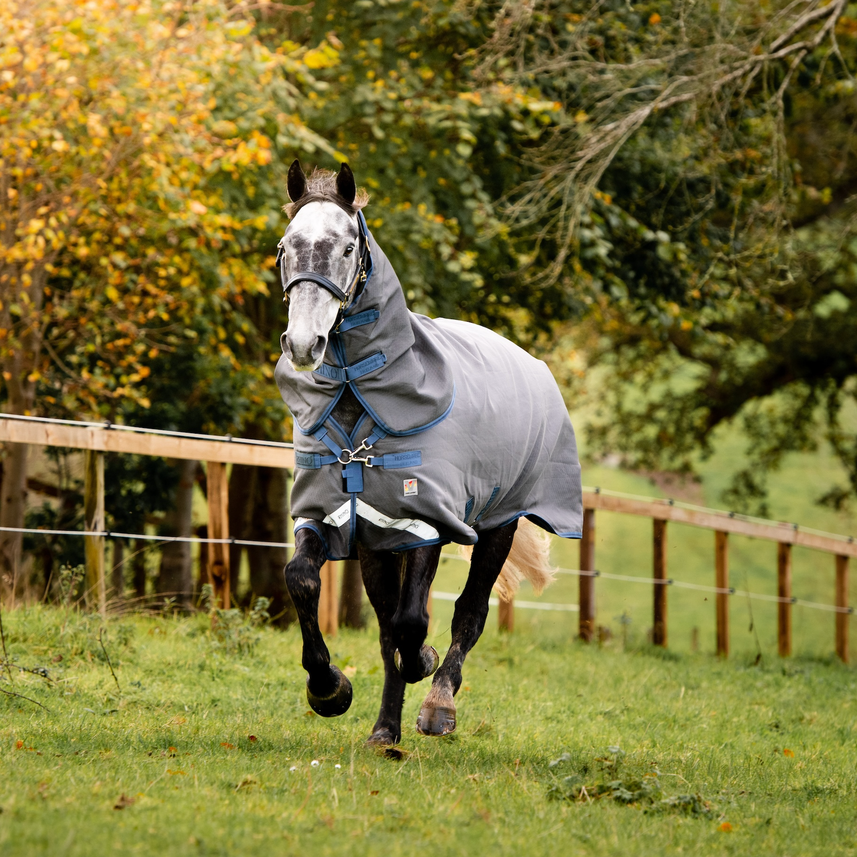 Rhino Plus HexStop Detach-A-Neck