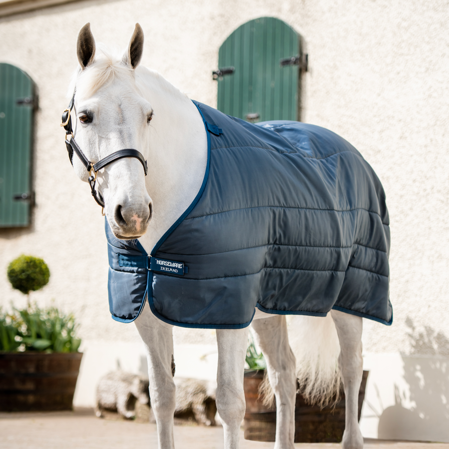 Horseware XL Liner