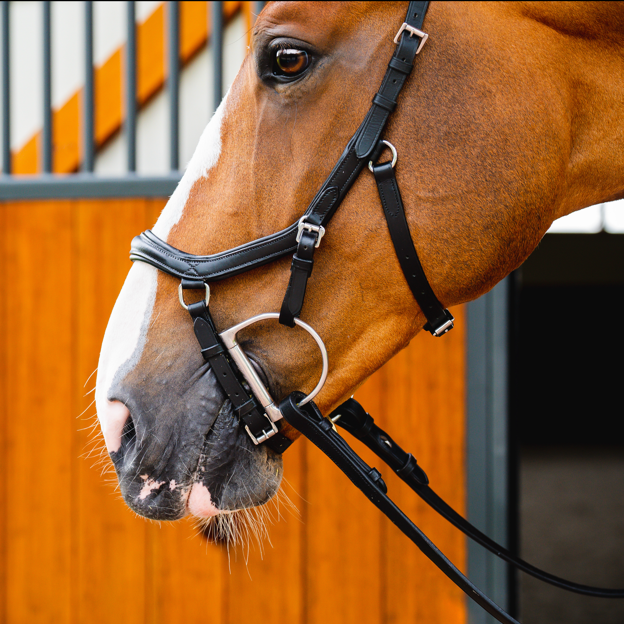 Horseware Ireland Micklem 2 Deluxe Competition Bridle