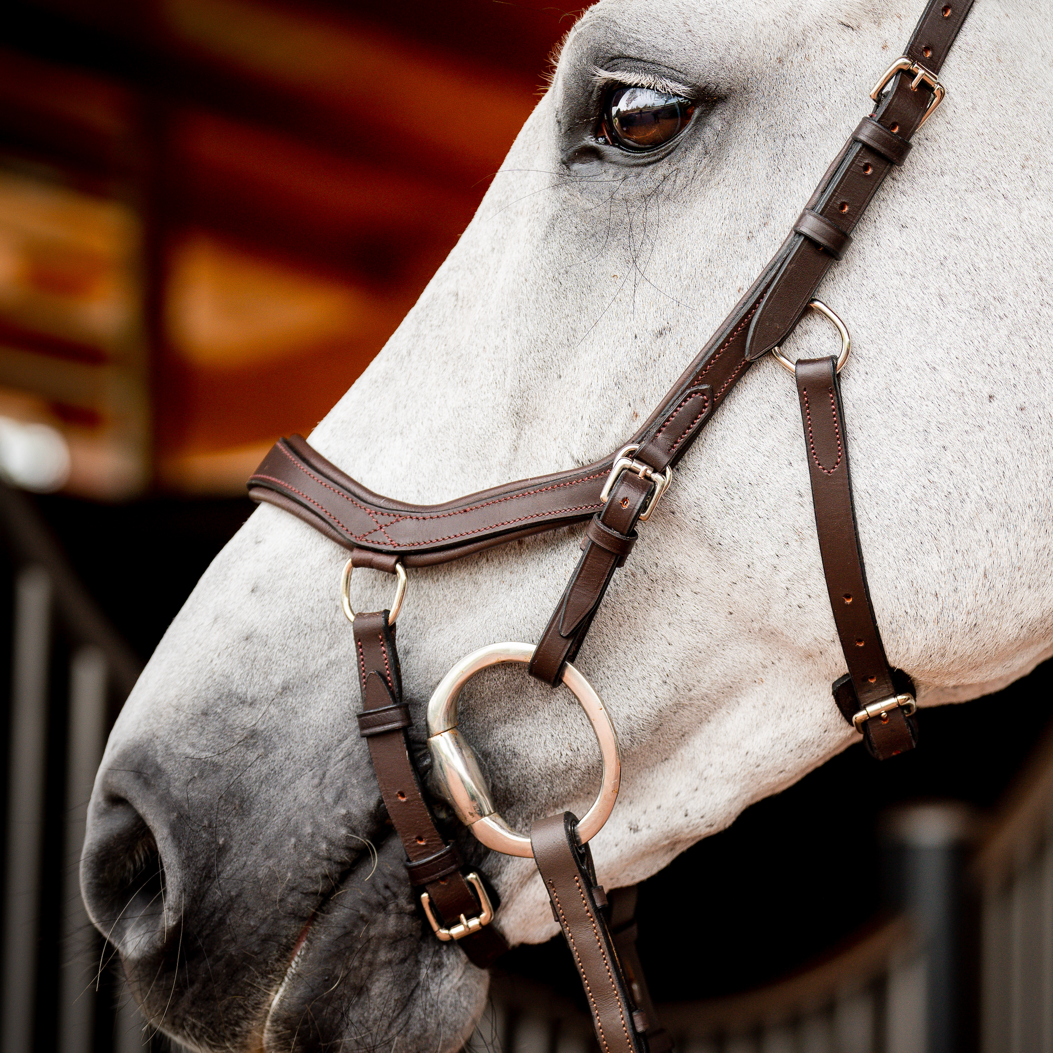 Horseware Ireland Micklem 2 Competition Bridle