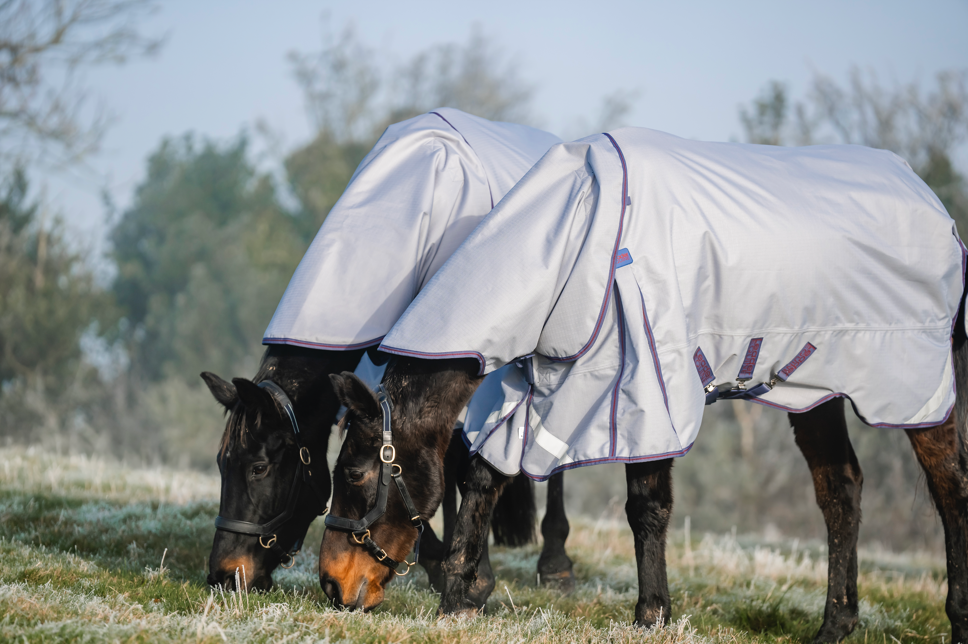 LE Boxter Turnout Ripstop Detach-A-Neck