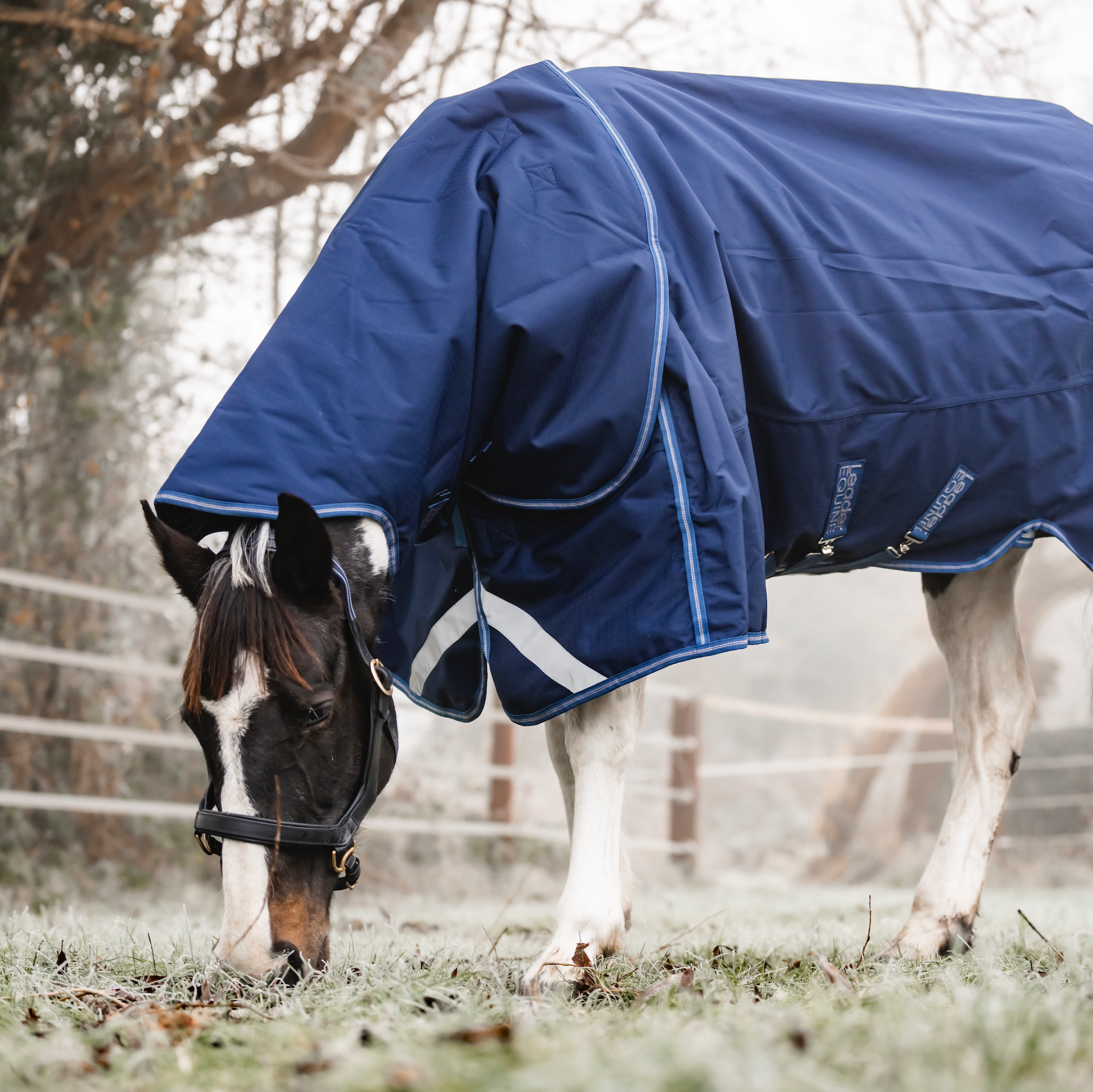 LE Boxter Turnout Ripstop Detach-A-Neck