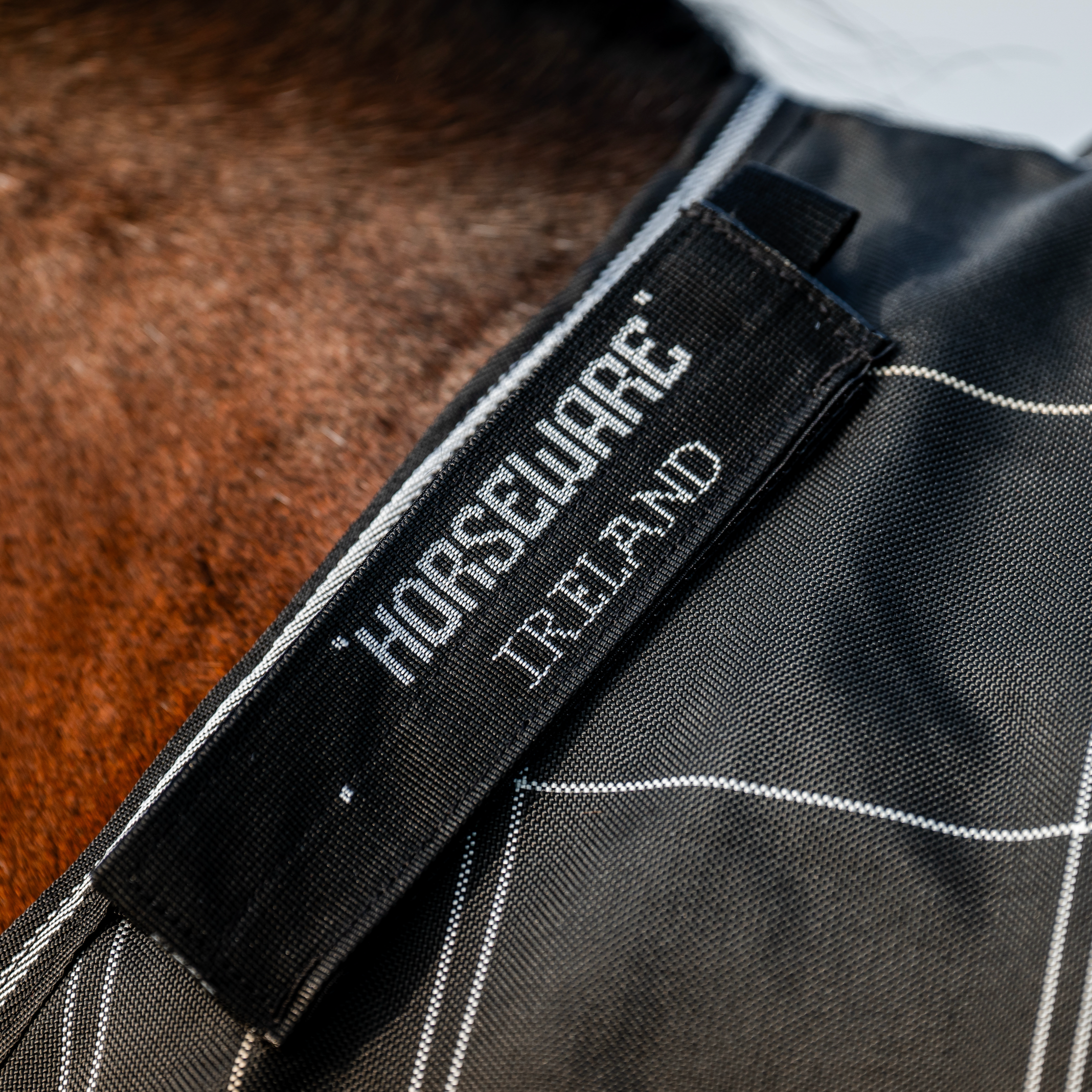 Rhino Plus Turnout Bundle (0g + 200g) Detach-A-Neck