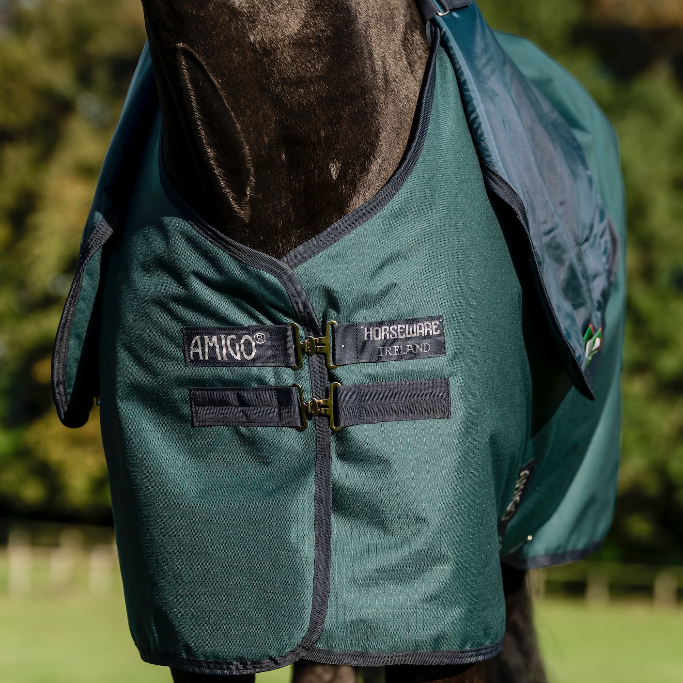 Amigo Ripstop 900D Plus Pony Turnout Detach-A-Neck