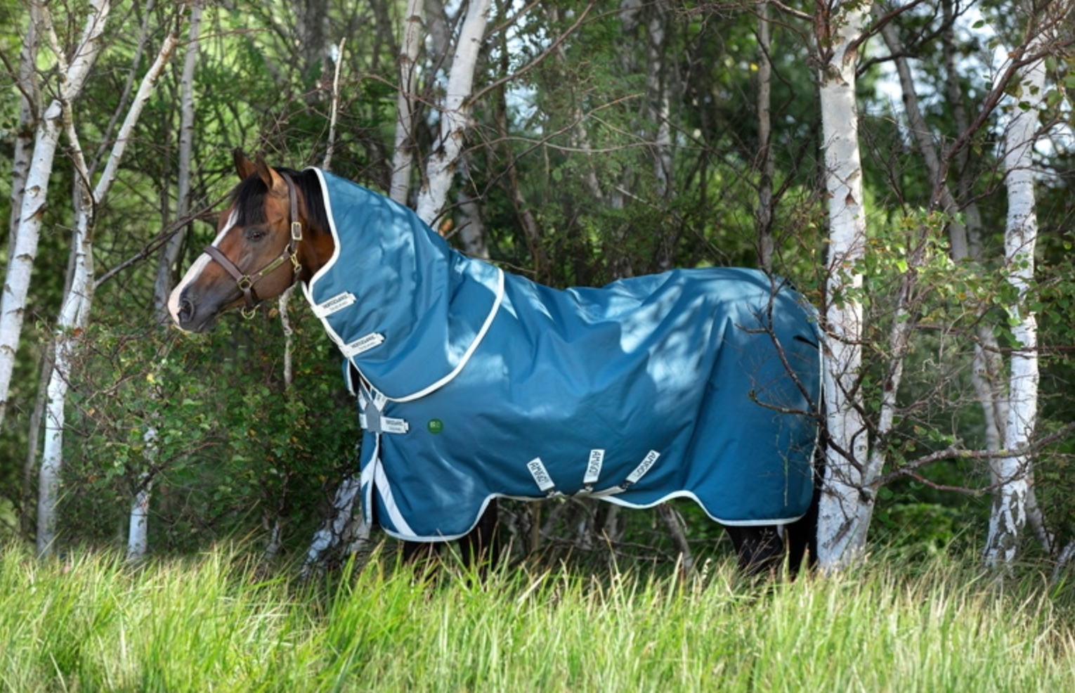 Amigo AmEco 12 Plus Turnout Detach-A-Neck