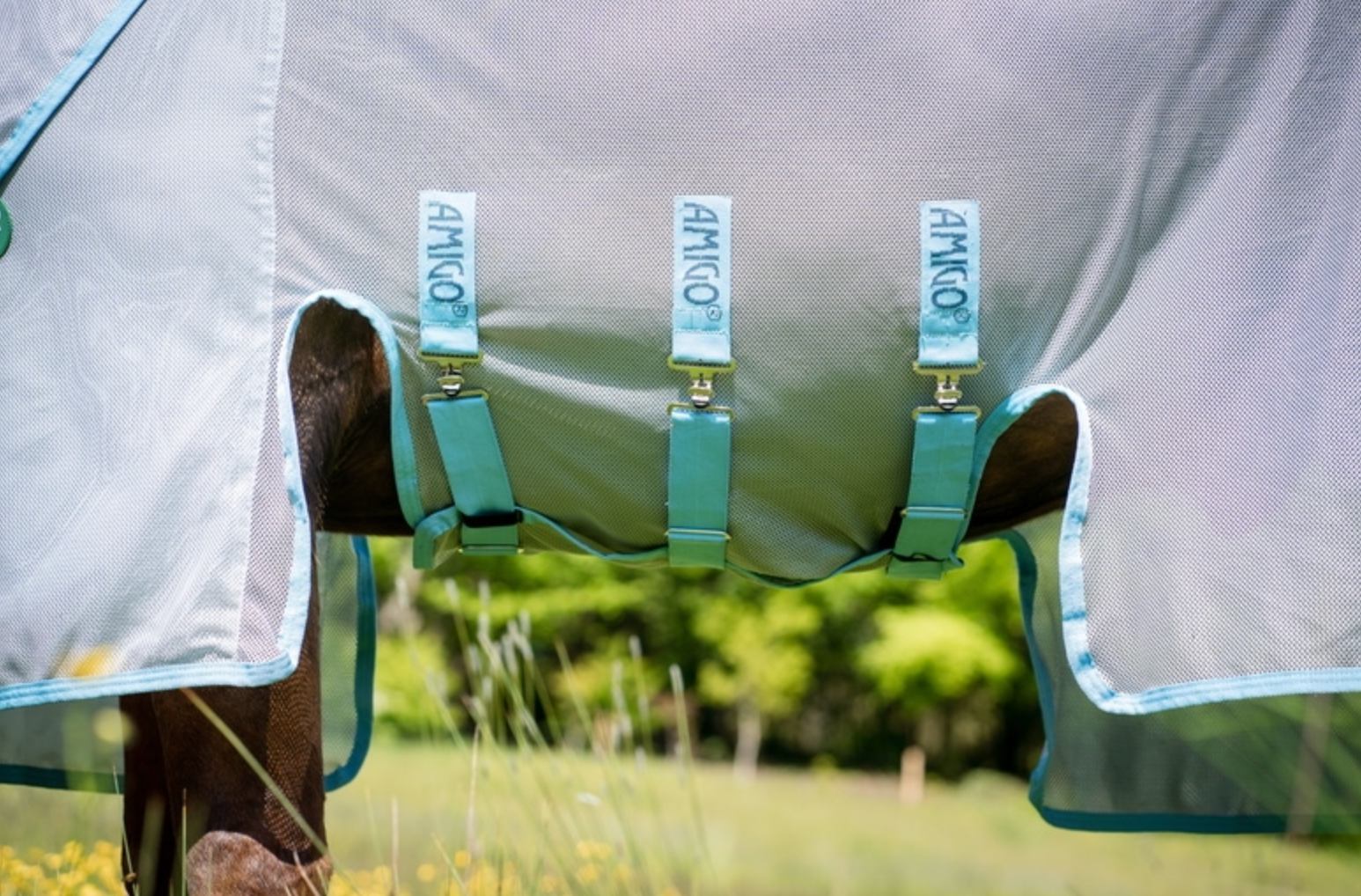 Amigo AmEco Bug Buster Detach-A-Neck