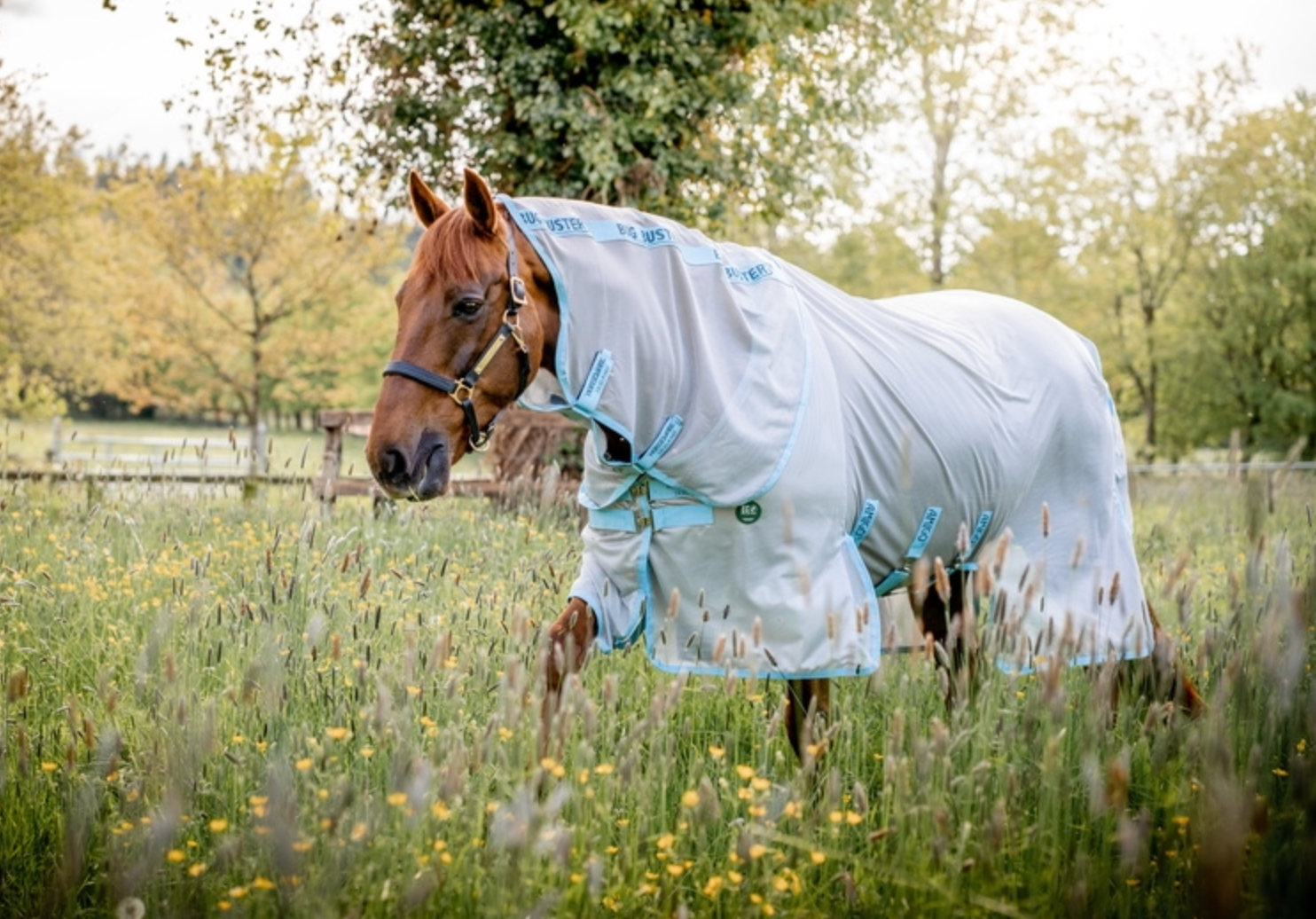 Amigo AmEco Bug Buster Detach-A-Neck