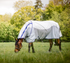 Horse grazing in a field wearing a white rug with blue trim.