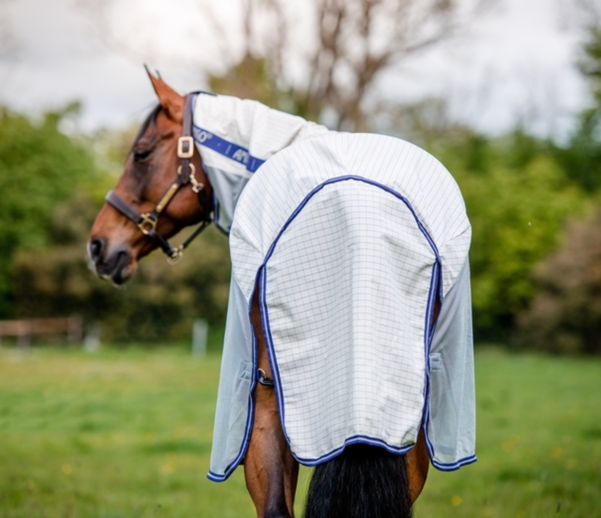 Amigo Airflow Detach-A-Neck