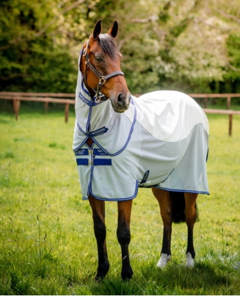 Amigo Airflow Detach-A-Neck