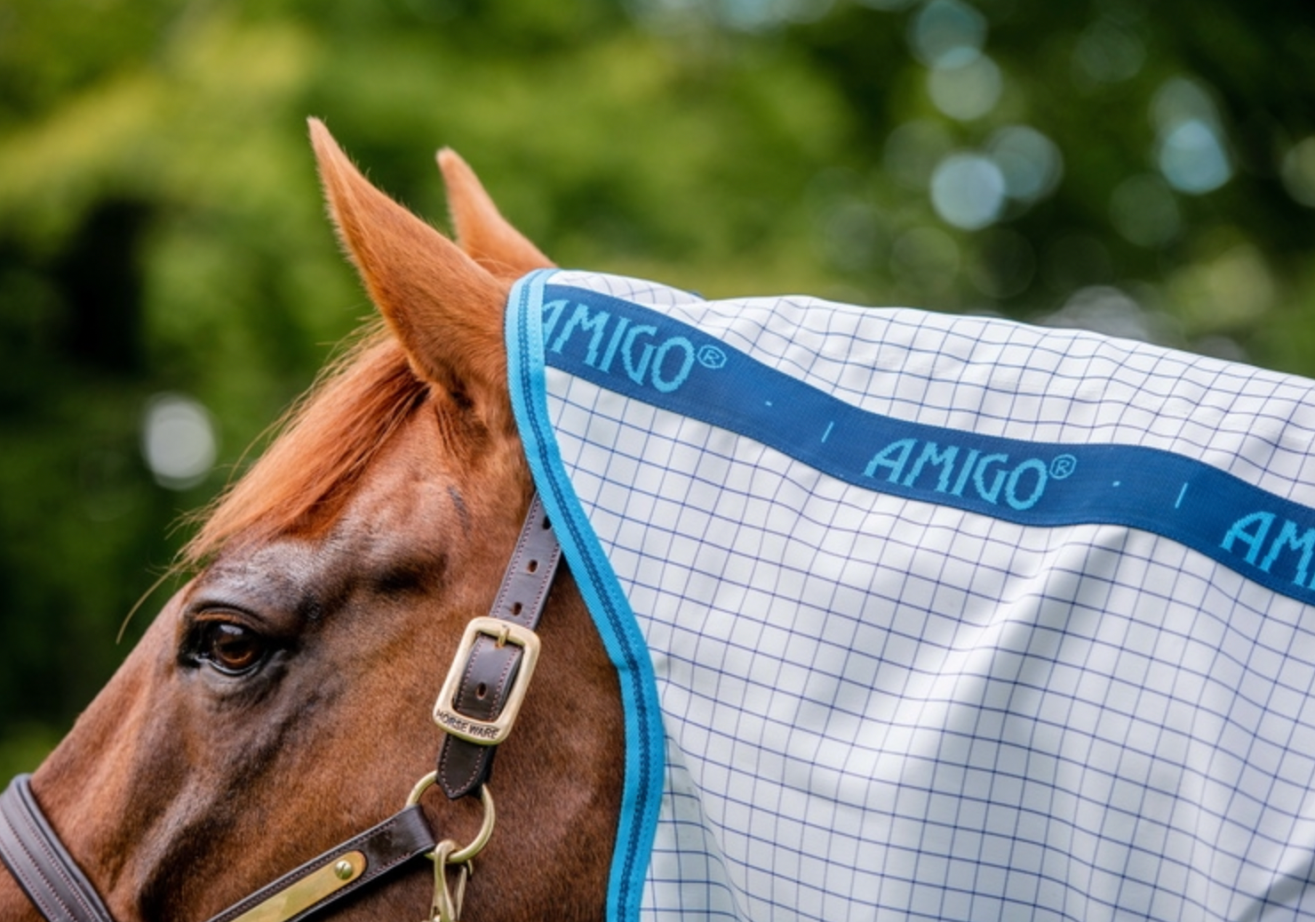 Amigo Aussie Allrounder DiscFront Detach-A-Neck