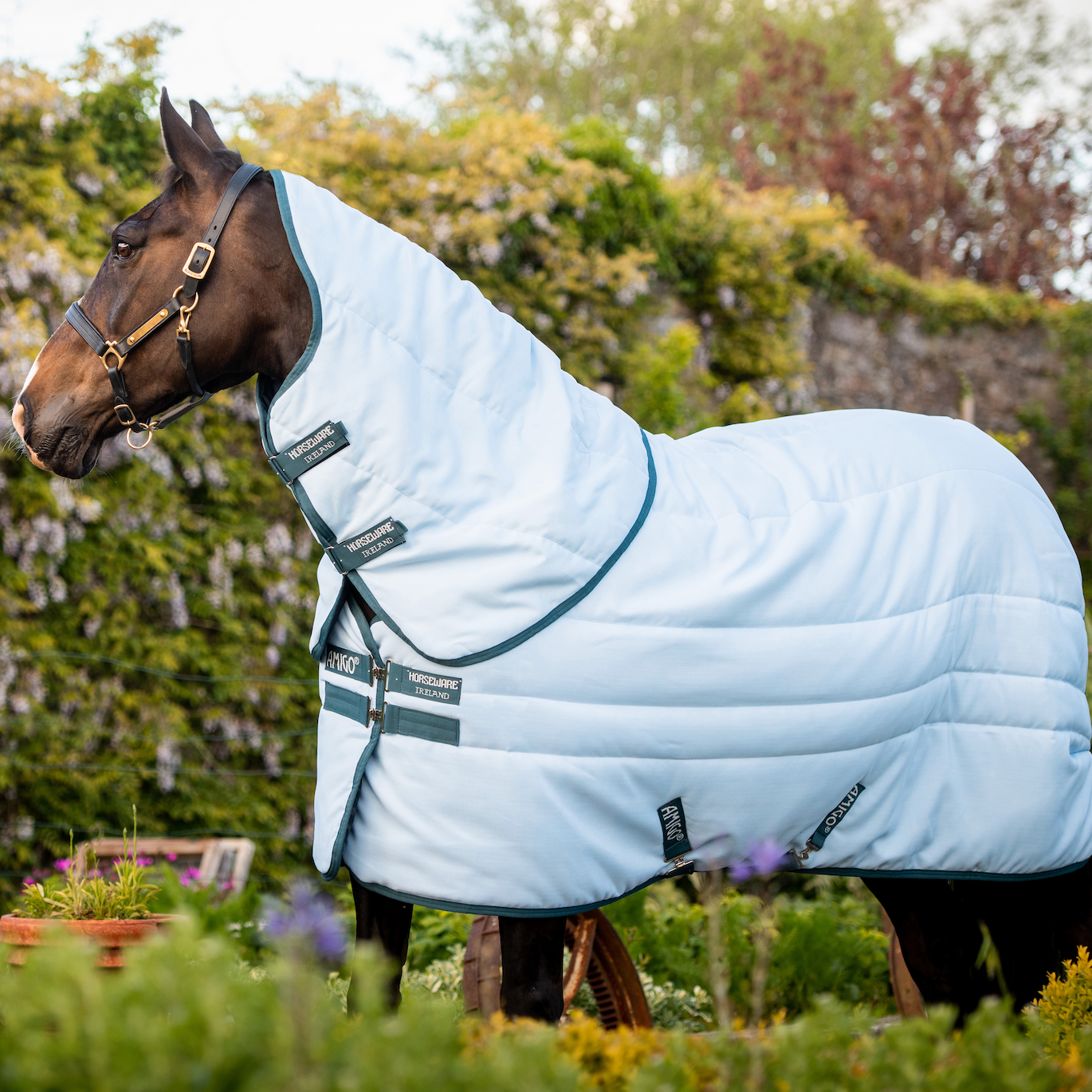 Amigo Stable Plus Plant Dye Deatch-A-Neck